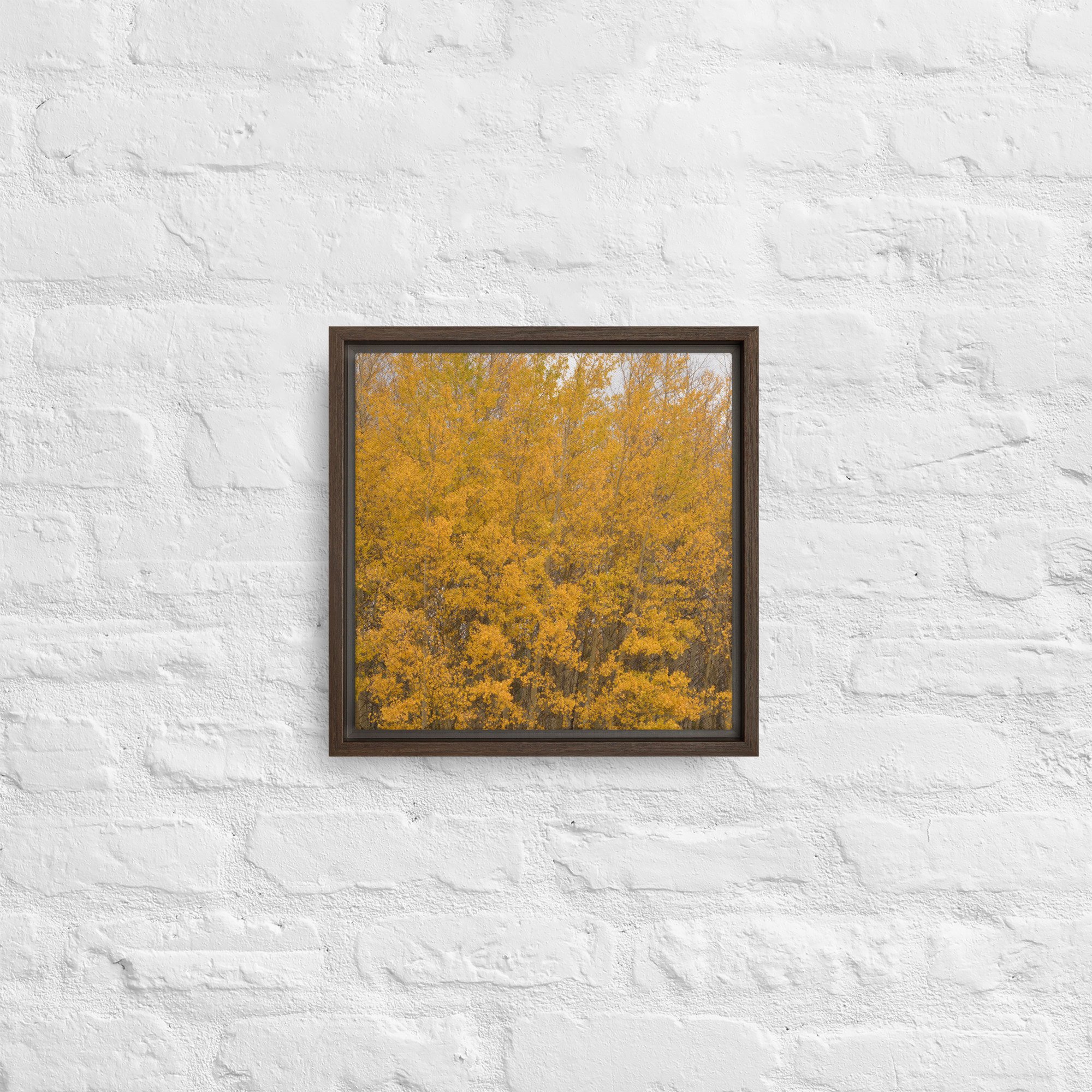 framed-canvas-(in)-brown-12x12-front-65ee714f37a2d.jpg