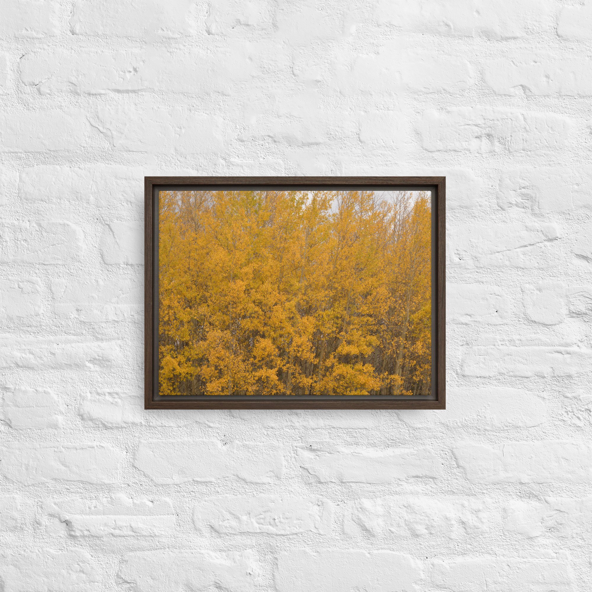 framed-canvas-(in)-brown-12x16-front-65ee714f37aa8.jpg