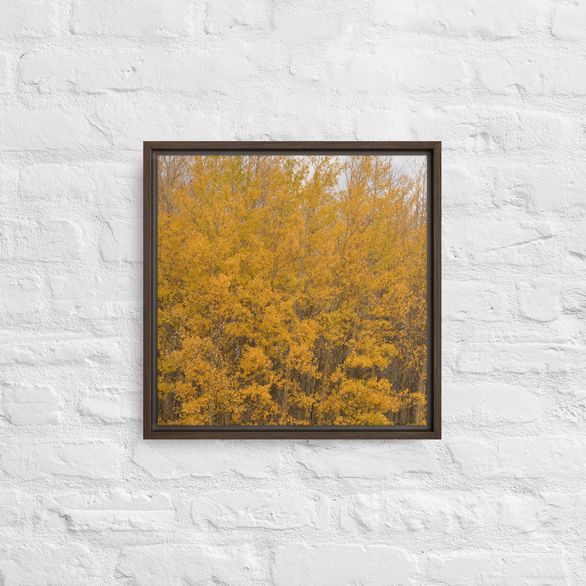 framed-canvas-(in)-brown-16x16-front-65ee714f37b2b.jpg