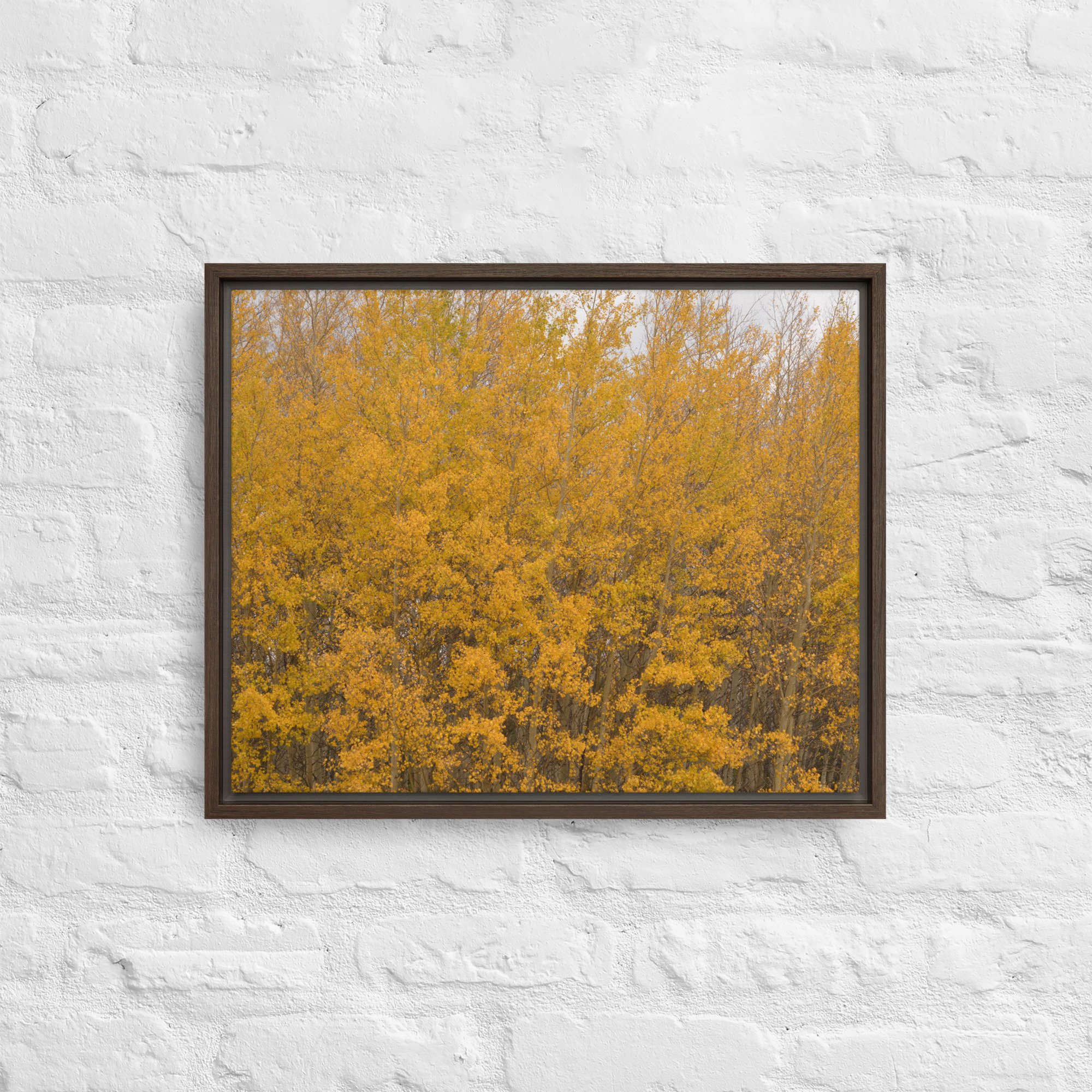 framed-canvas-(in)-brown-16x20-front-65ee714f37ba2.jpg