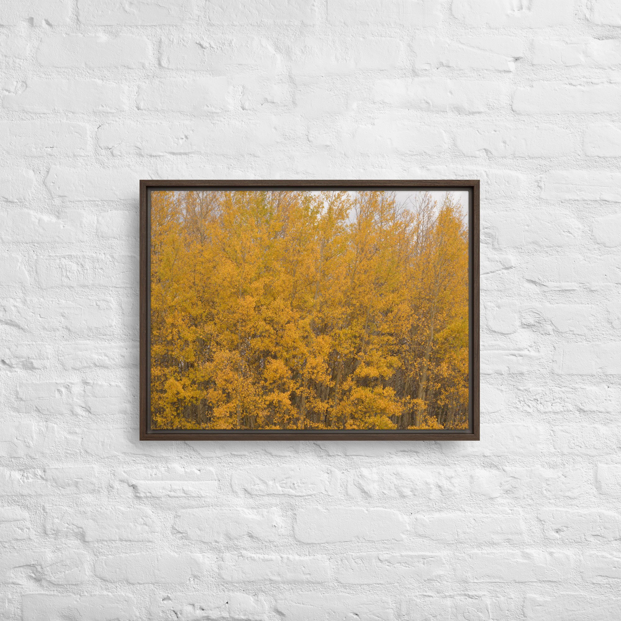 framed-canvas-(in)-brown-18x24-front-65ee714f37c2a.jpg