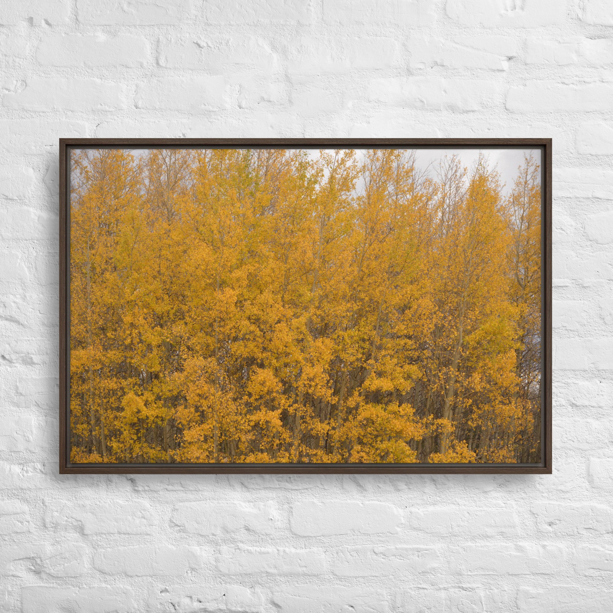 framed-canvas-(in)-brown-24x36-front-65ee714f37c9d.jpg