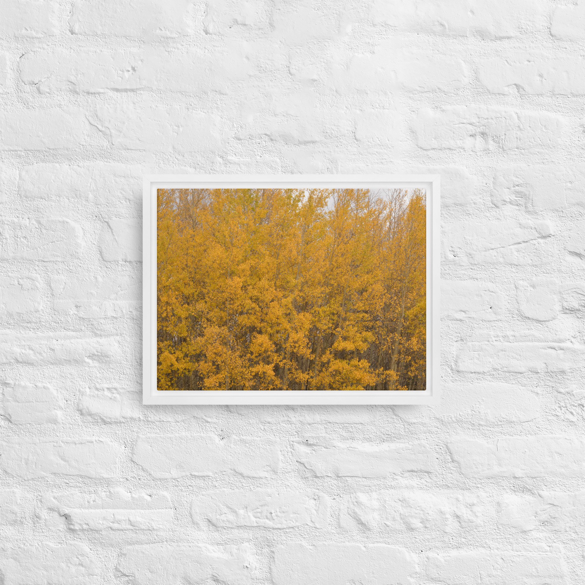 framed-canvas-(in)-white-12x16-front-65ee714f37da7.jpg
