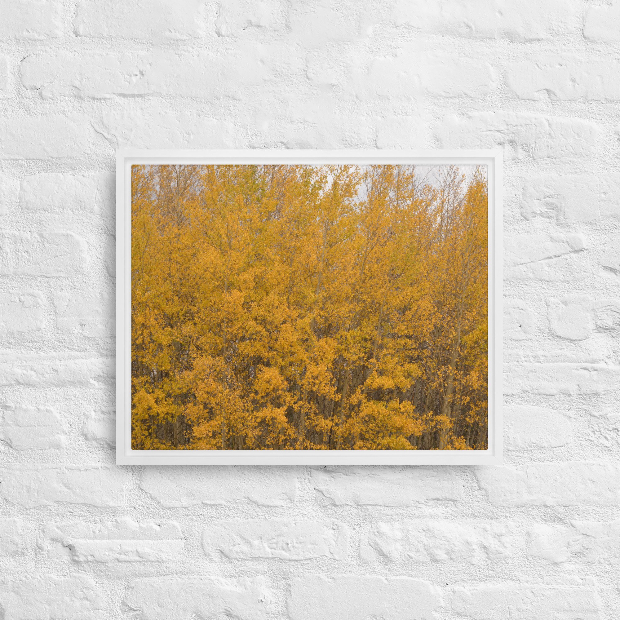 framed-canvas-(in)-white-16x20-front-65ee714f37e9a.jpg