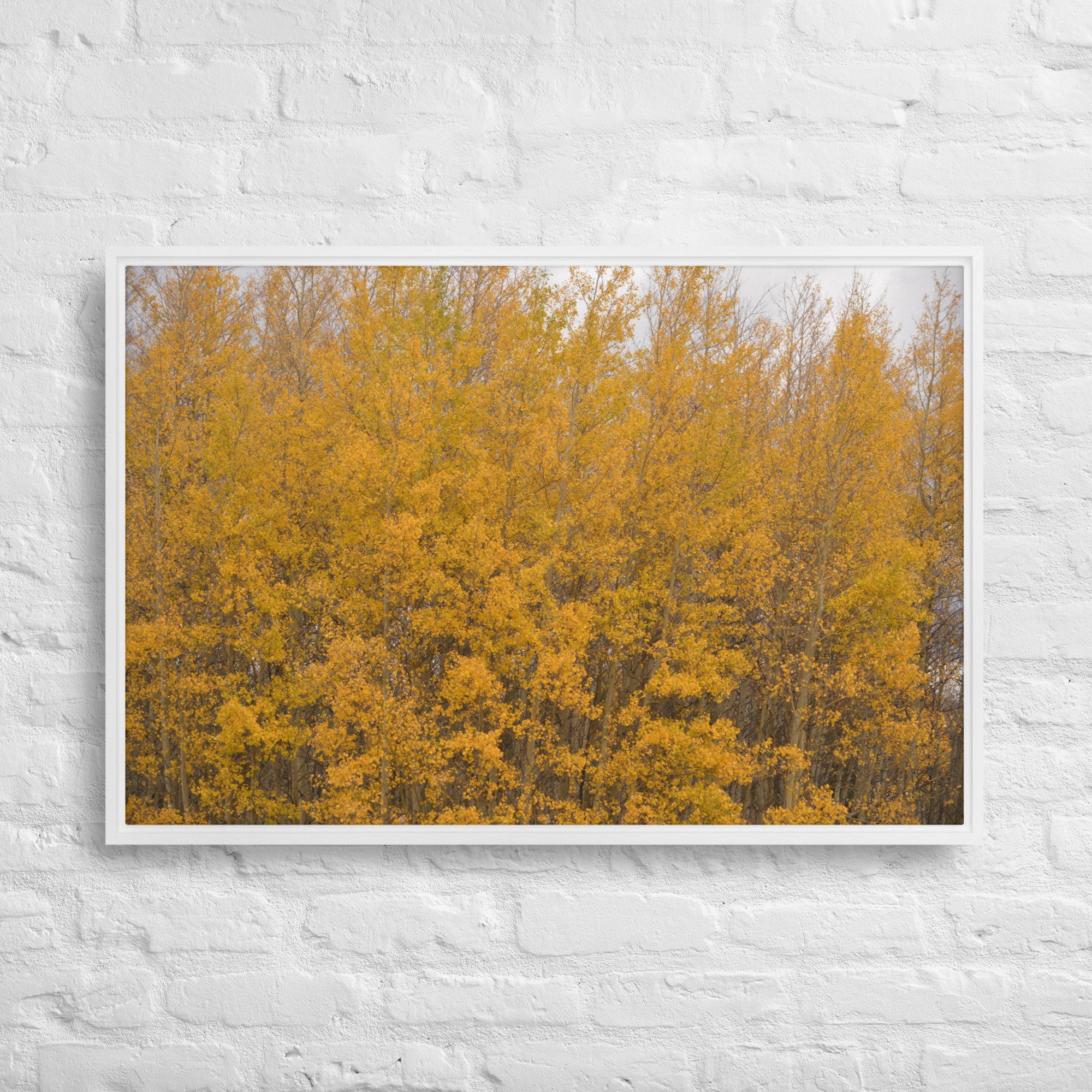 framed-canvas-(in)-white-24x36-front-65ee714f37f94.jpg