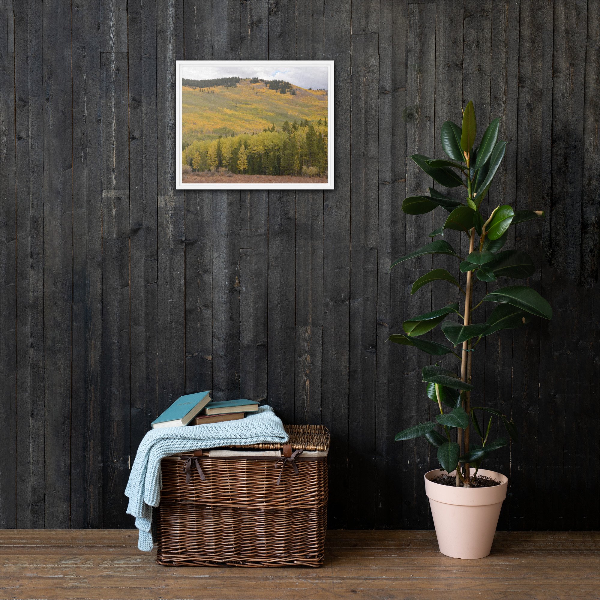 framed-canvas-(in)-white-16x20-front-65ee7873231e5.jpg