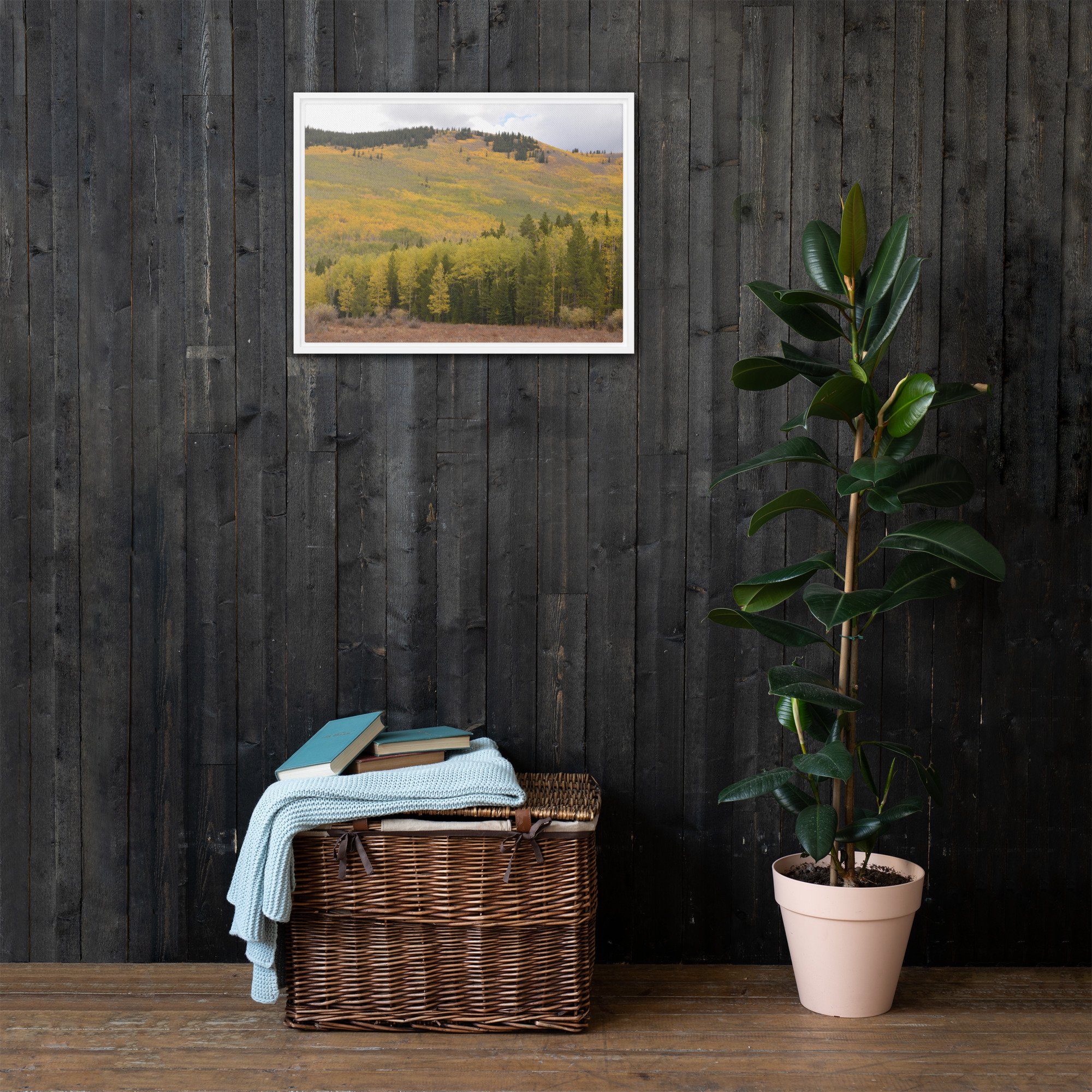 framed-canvas-(in)-white-18x24-front-65ee787323231.jpg