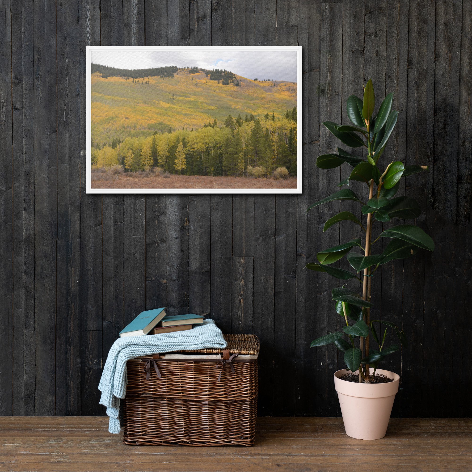 framed-canvas-(in)-white-24x36-front-65ee7873232a0.jpg