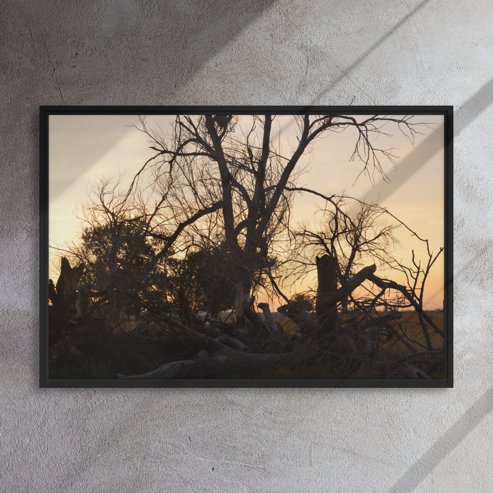 framed-canvas-(in)-black-24x36-front-65ee7eb69043c.jpg