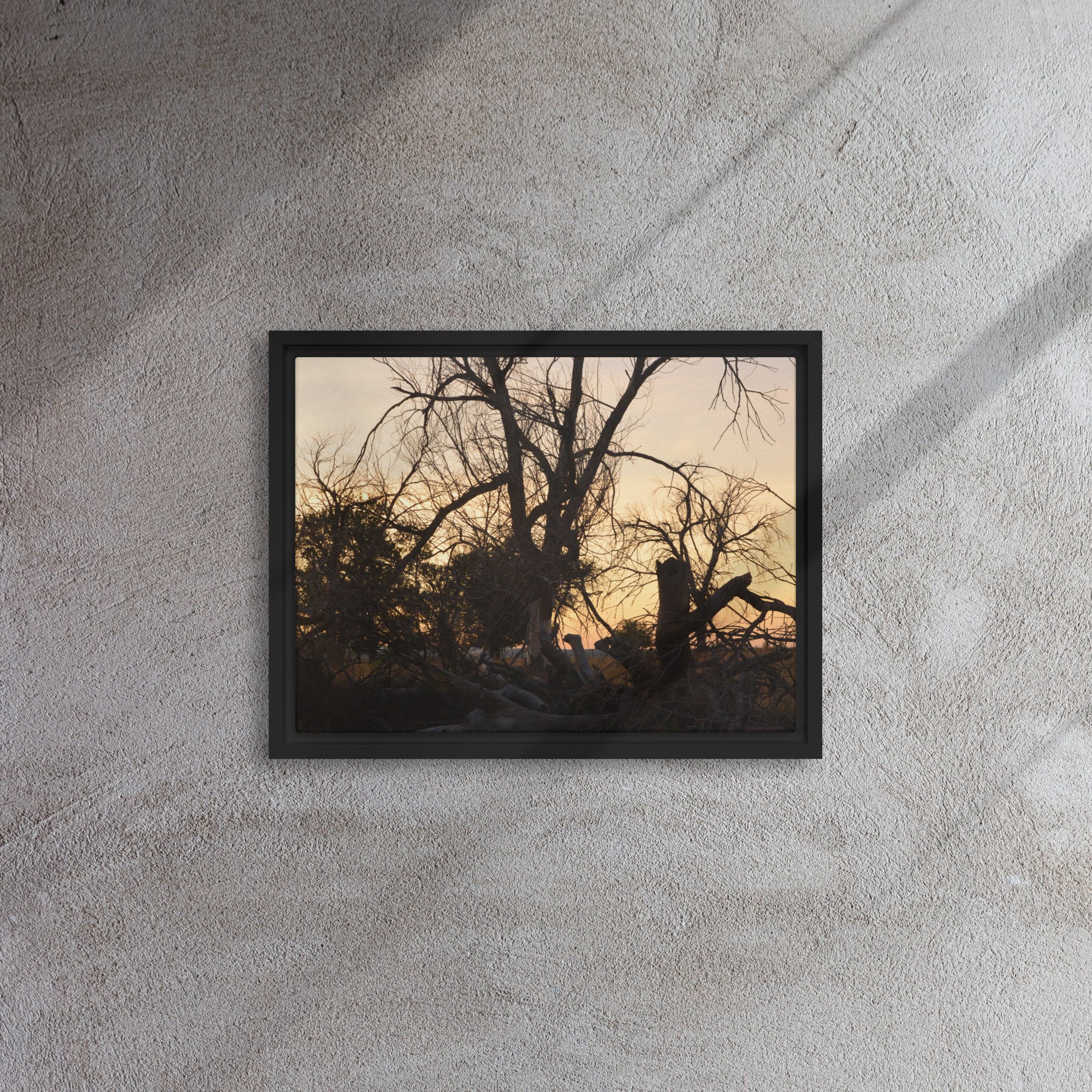 framed-canvas-(in)-black-12x16-front-65ee7eb6915d3.jpg