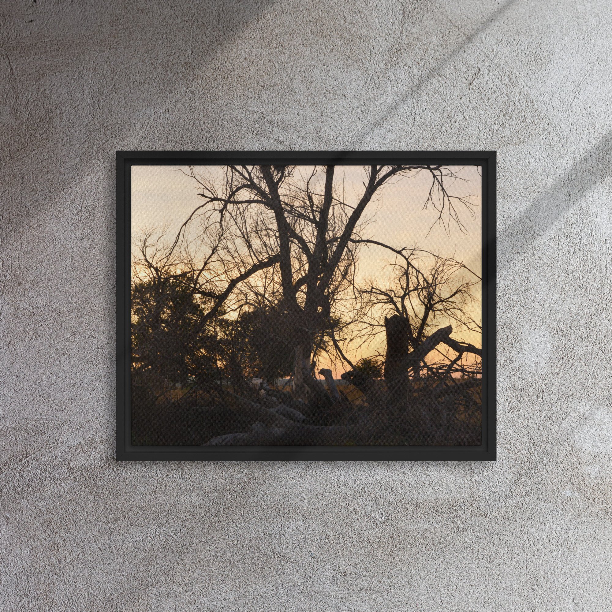 framed-canvas-(in)-black-16x20-front-65ee7eb6916aa.jpg