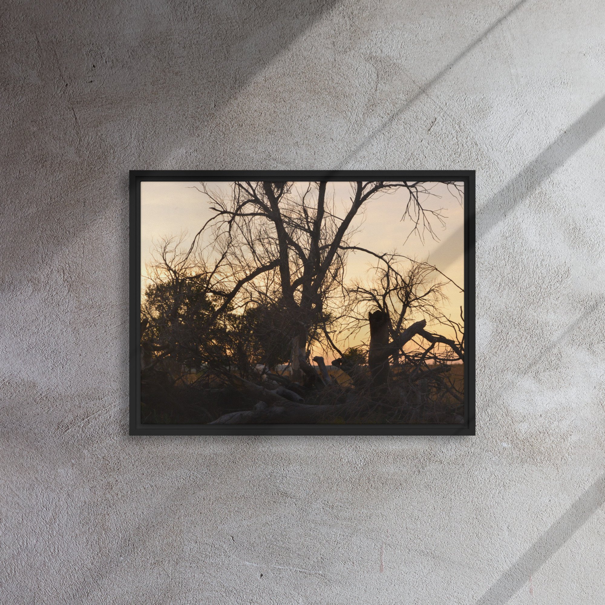 framed-canvas-(in)-black-18x24-front-65ee7eb6916f2.jpg