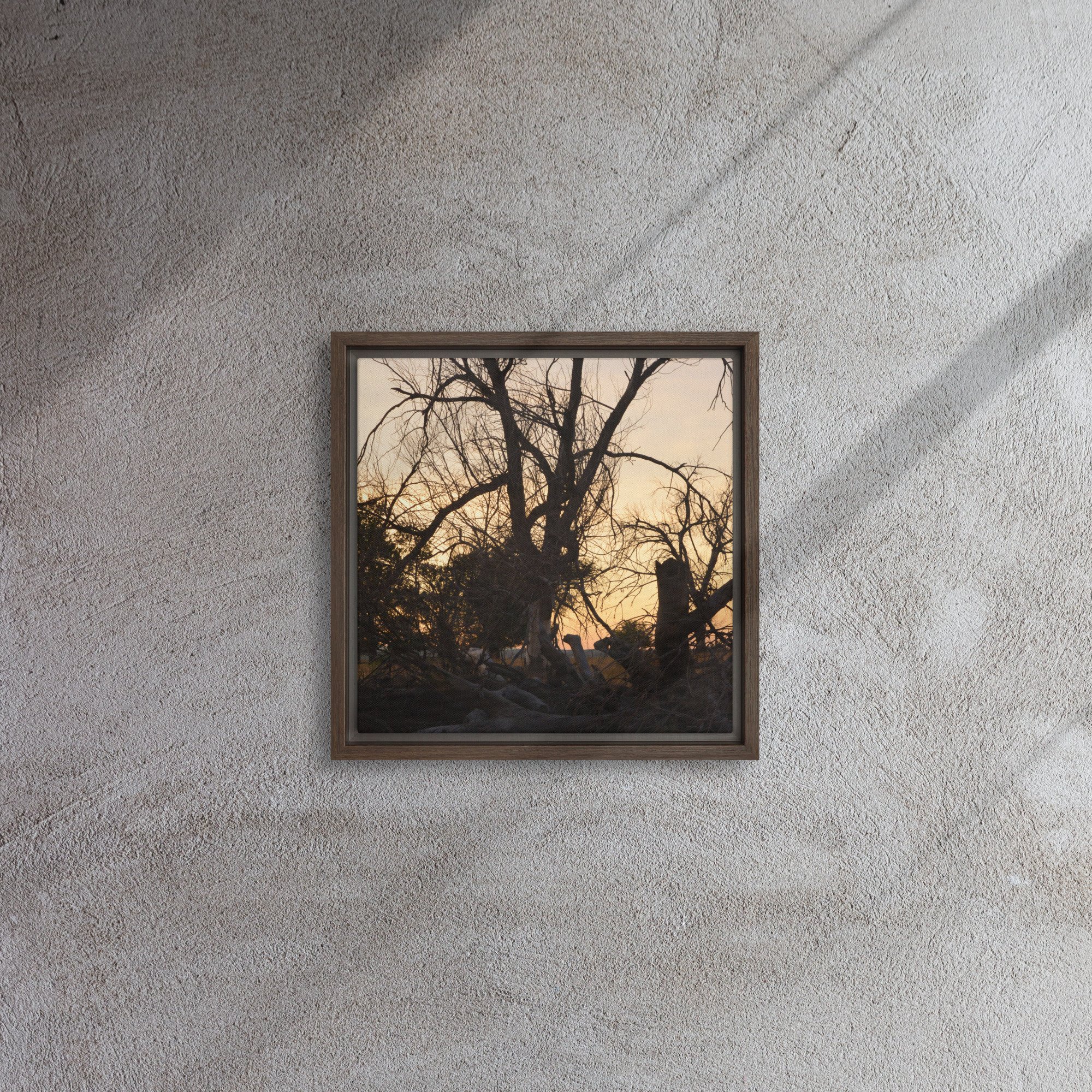 framed-canvas-(in)-brown-12x12-front-65ee7eb691744.jpg