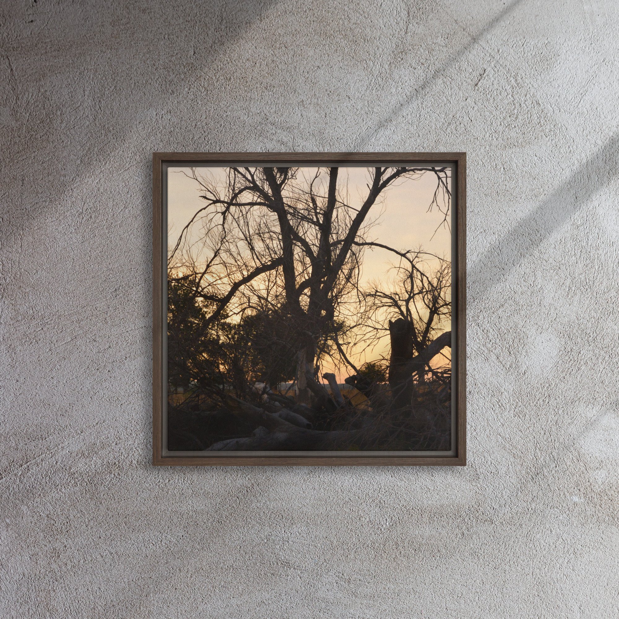 framed-canvas-(in)-brown-16x16-front-65ee7eb6917c4.jpg