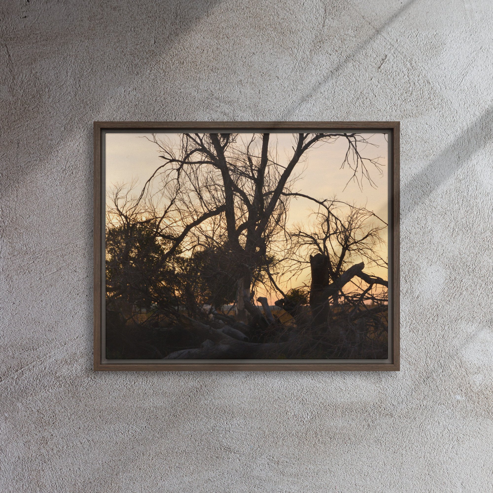 framed-canvas-(in)-brown-16x20-front-65ee7eb691803.jpg