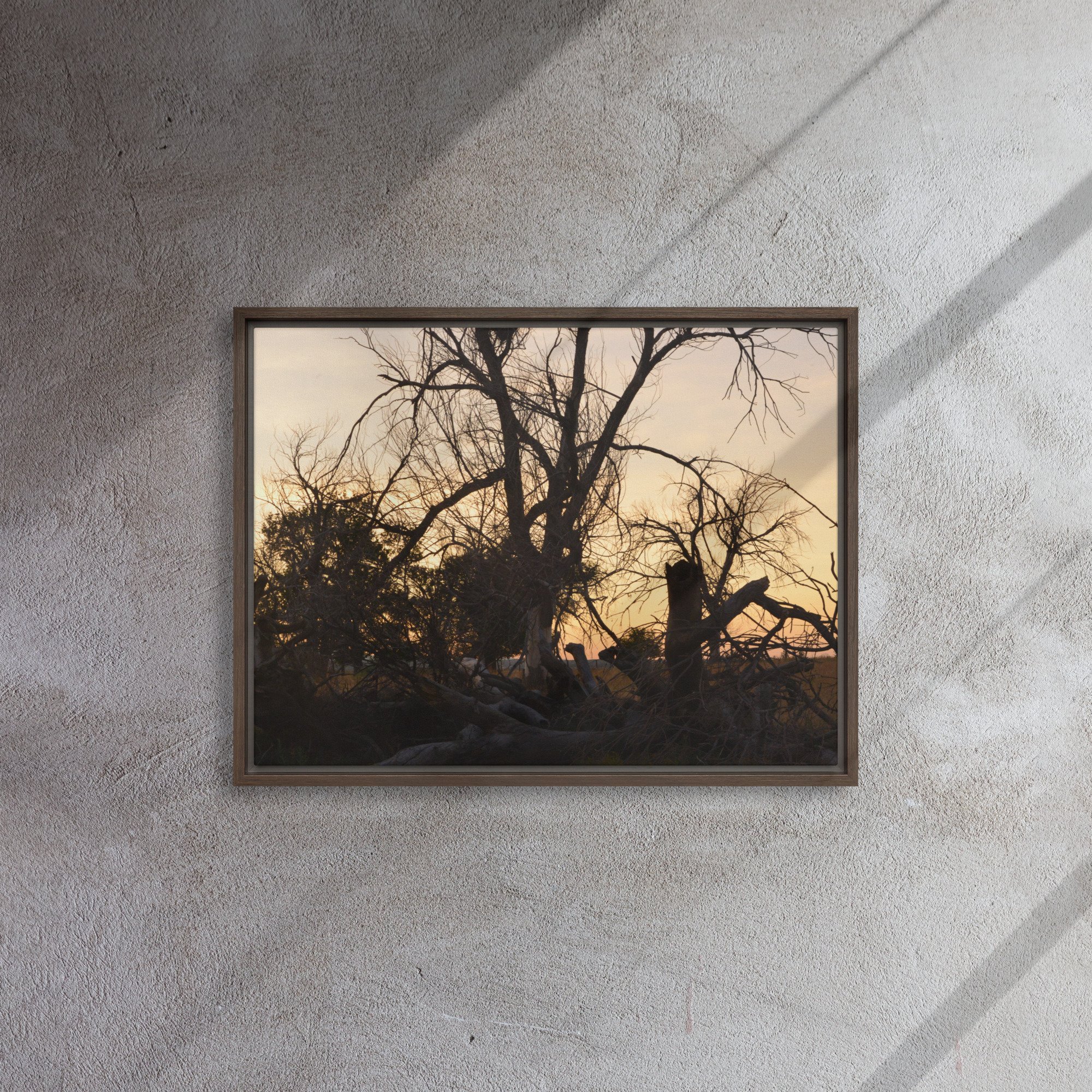 framed-canvas-(in)-brown-18x24-front-65ee7eb691841.jpg