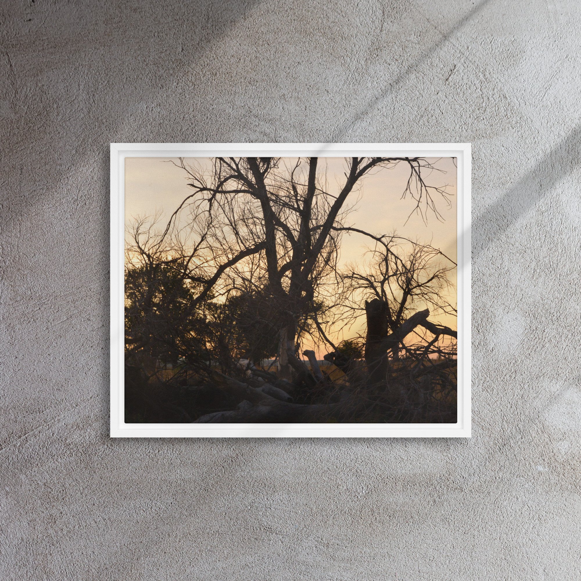 framed-canvas-(in)-white-16x20-front-65ee7eb691977.jpg