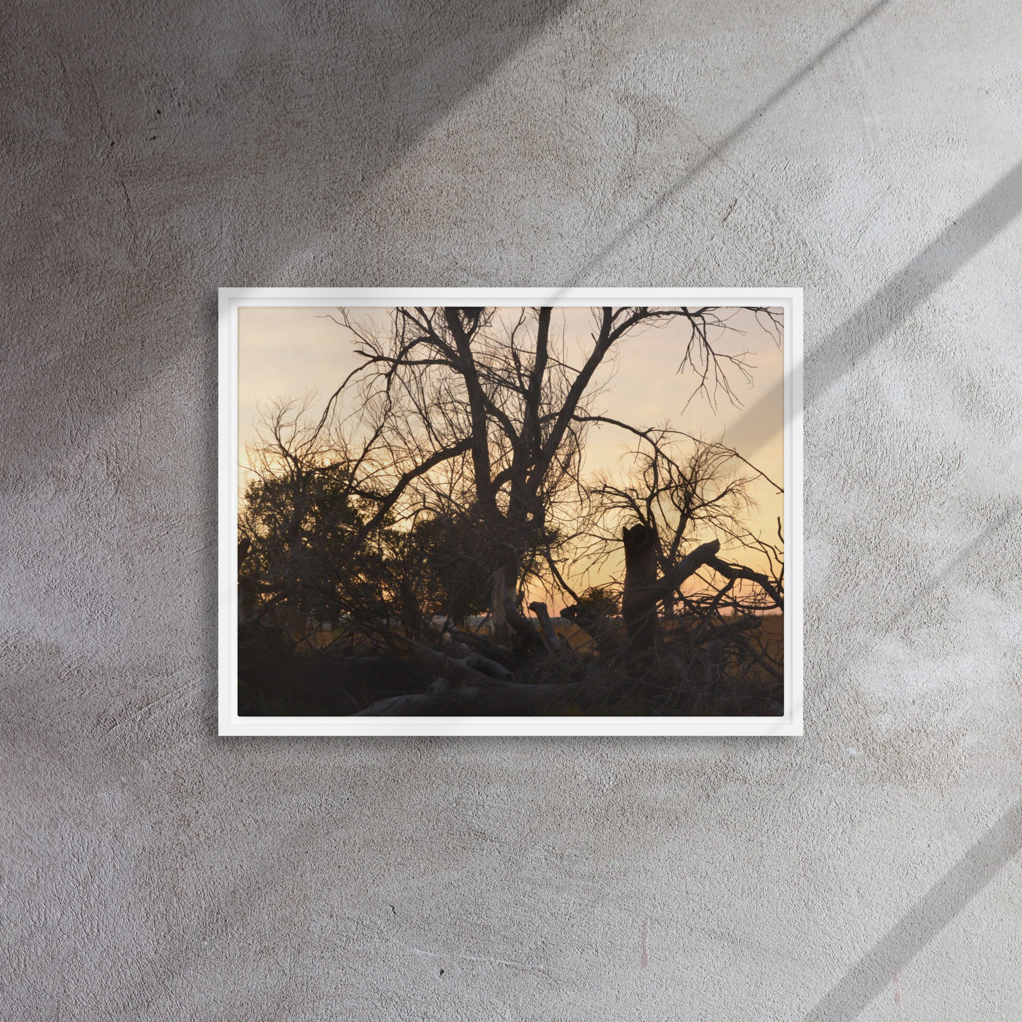 framed-canvas-(in)-white-18x24-front-65ee7eb6919b5.jpg