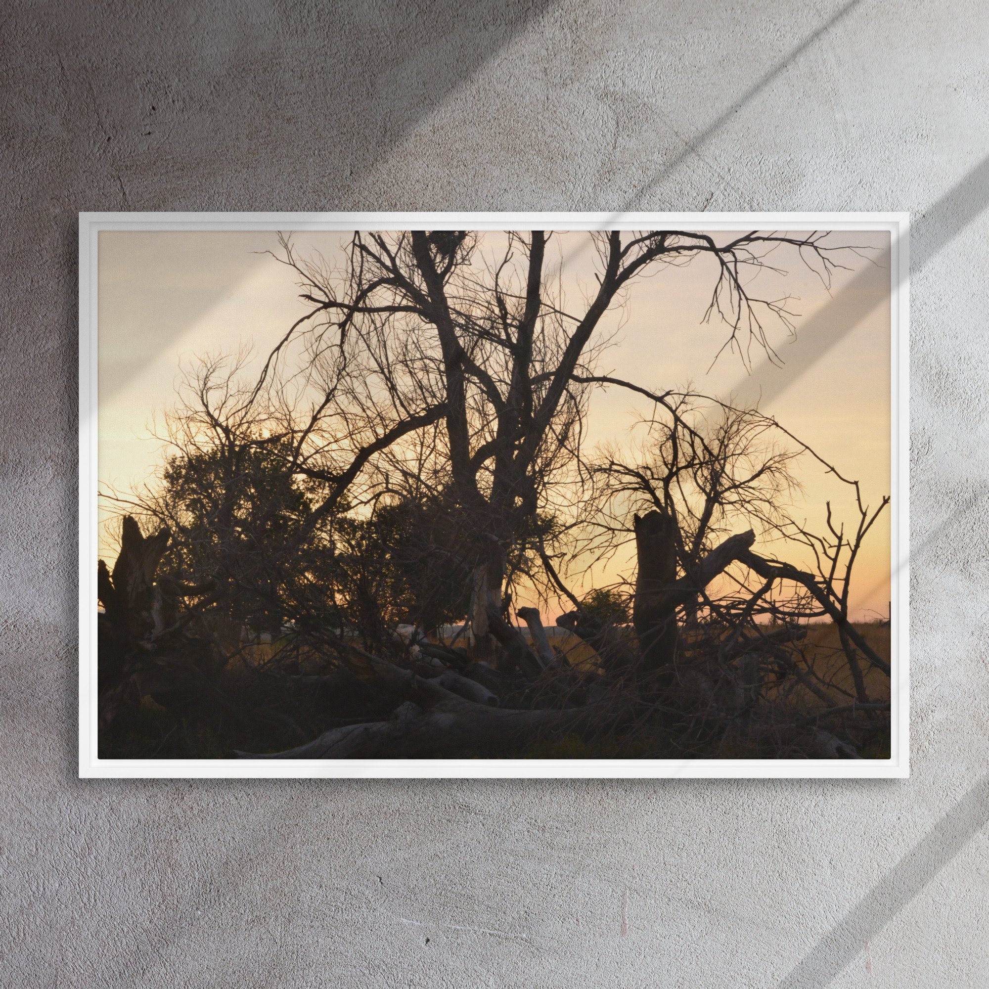 framed-canvas-(in)-white-24x36-front-65ee7eb6919f2.jpg