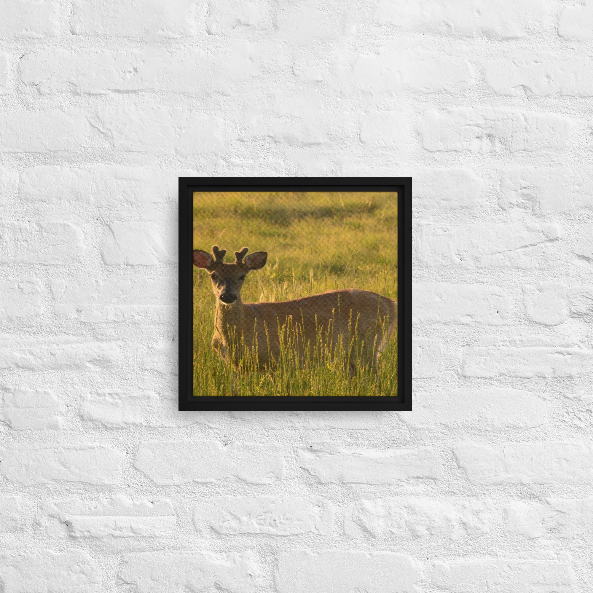 framed-canvas-(in)-black-12x12-front-65ee8437c2a32.jpg