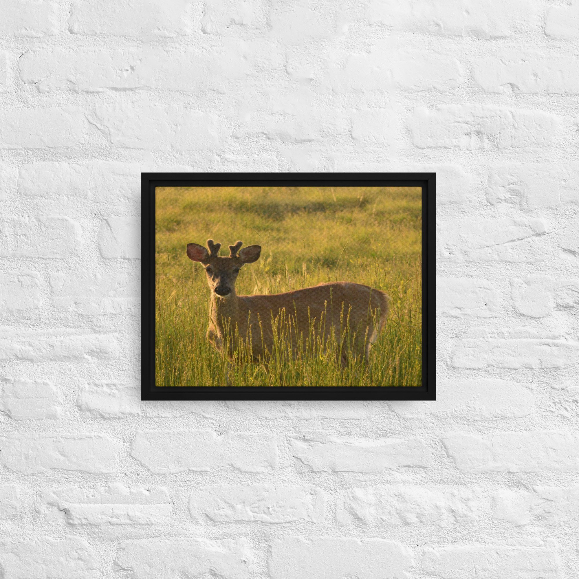 framed-canvas-(in)-black-12x16-front-65ee8437c2aa7.jpg