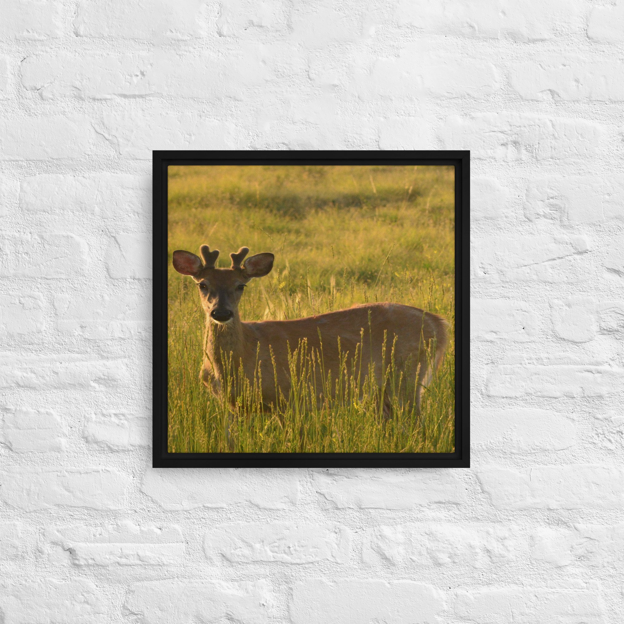 framed-canvas-(in)-black-16x16-front-65ee8437c2af3.jpg