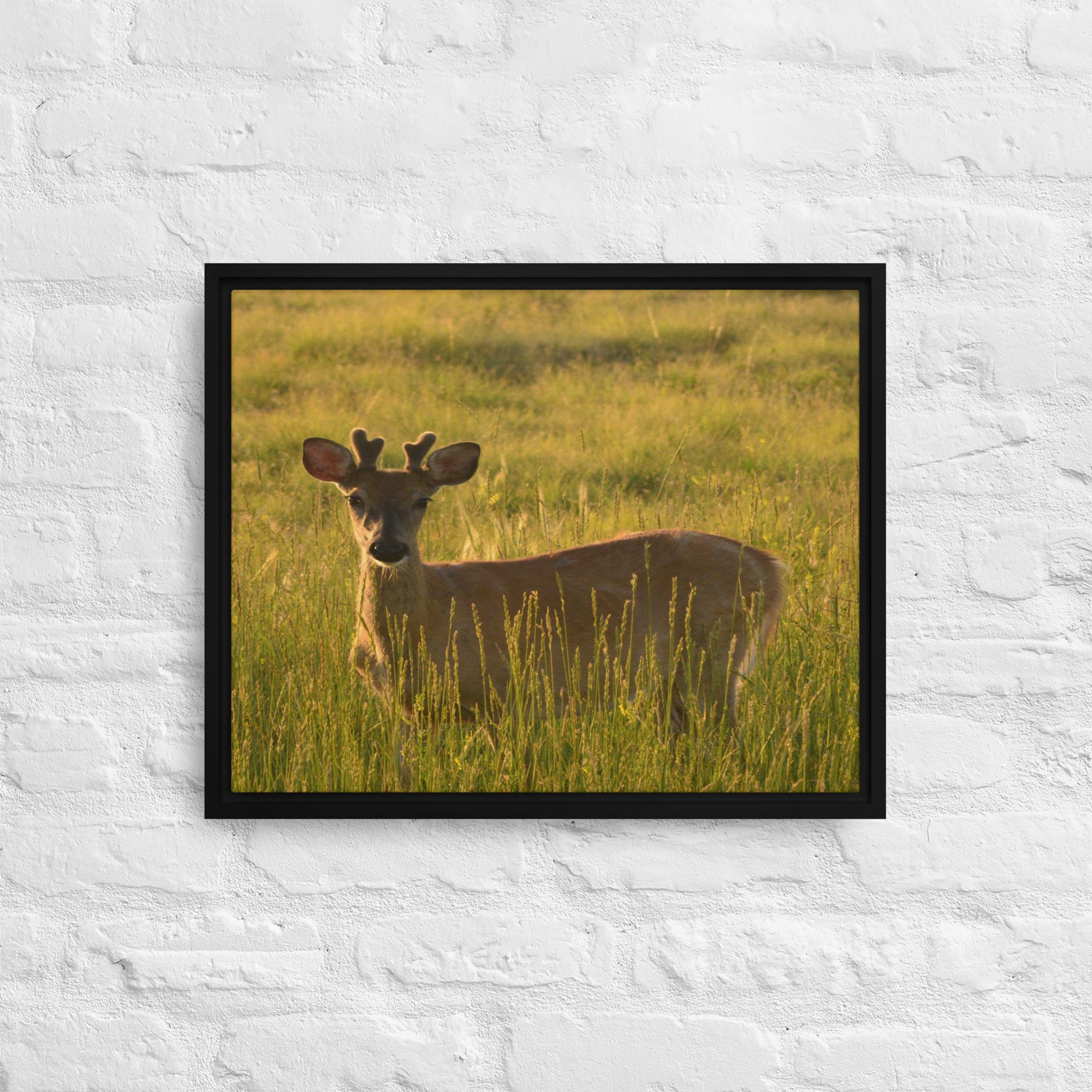 framed-canvas-(in)-black-16x20-front-65ee8437c2b3a.jpg