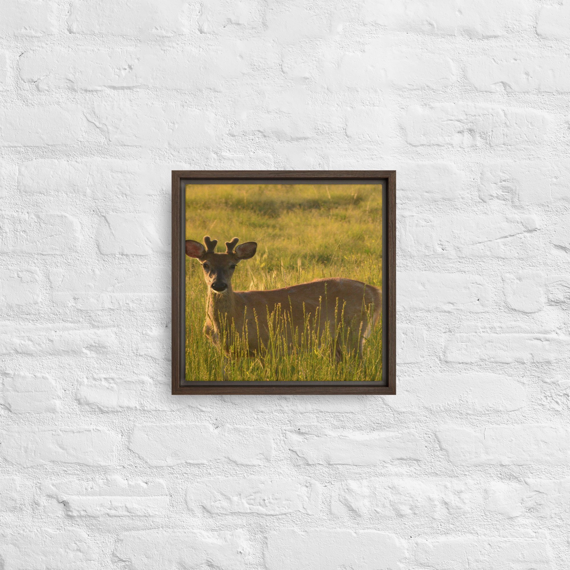 framed-canvas-(in)-brown-12x12-front-65ee8437c2bd2.jpg