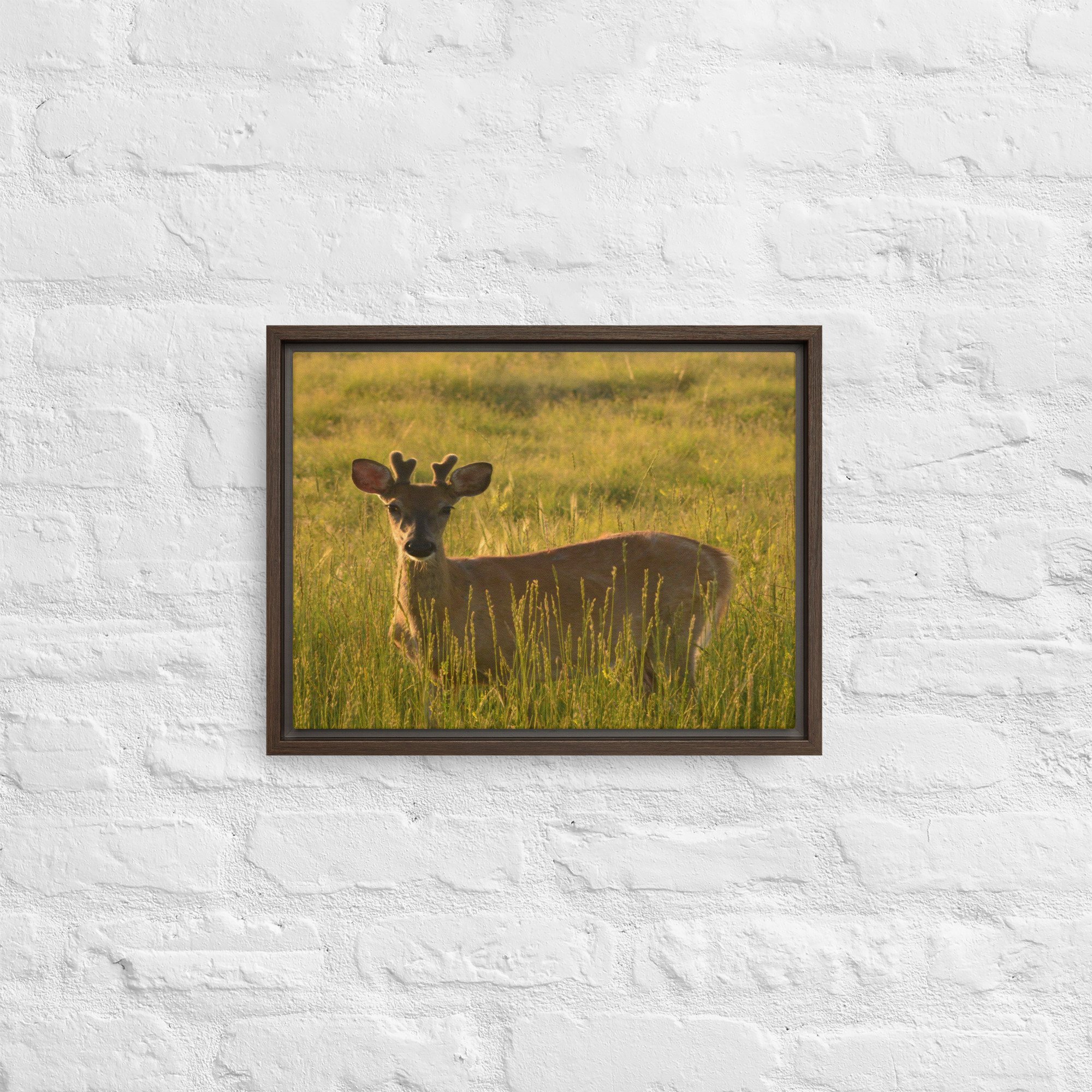 framed-canvas-(in)-brown-12x16-front-65ee8437c2c12.jpg