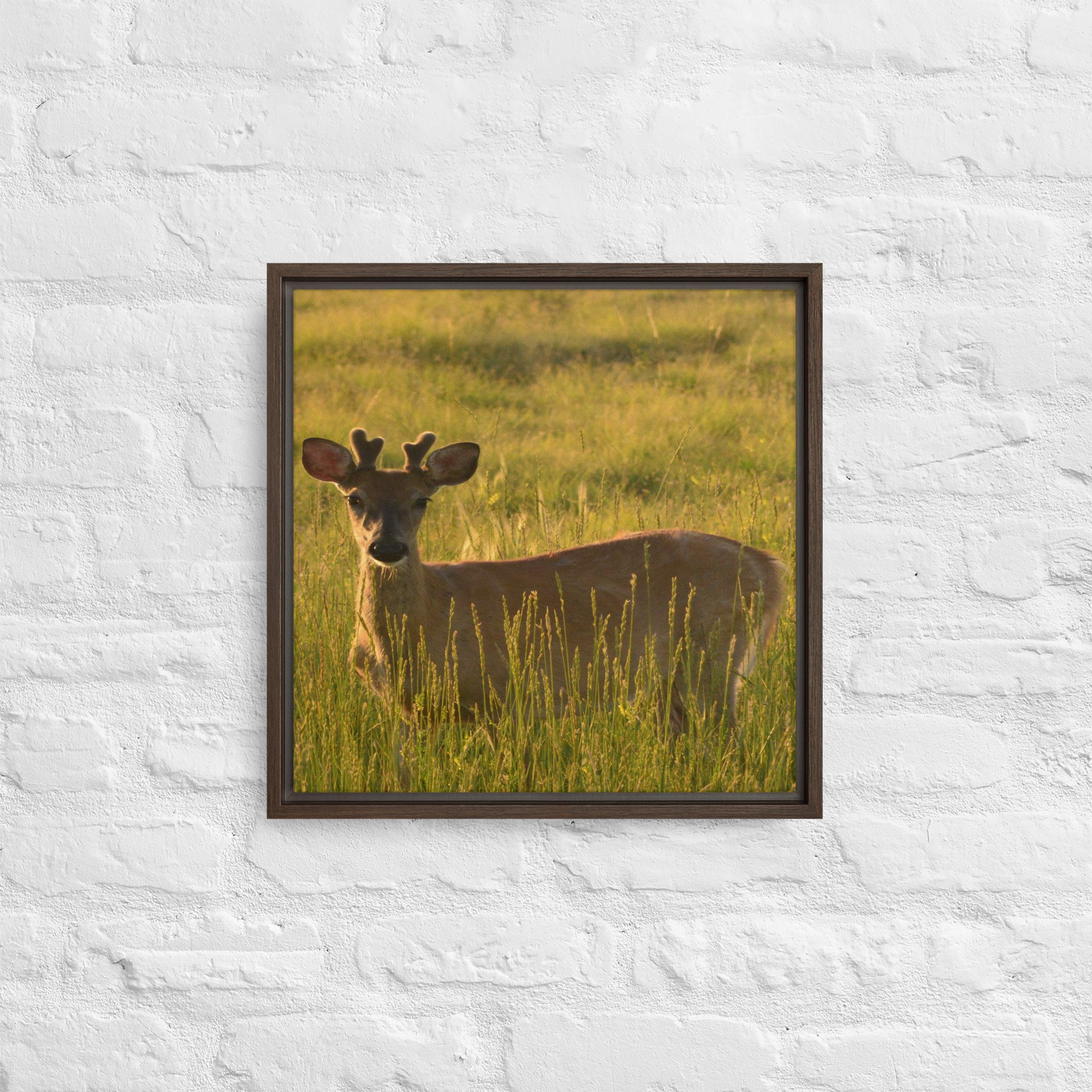 framed-canvas-(in)-brown-16x16-front-65ee8437c2c53.jpg