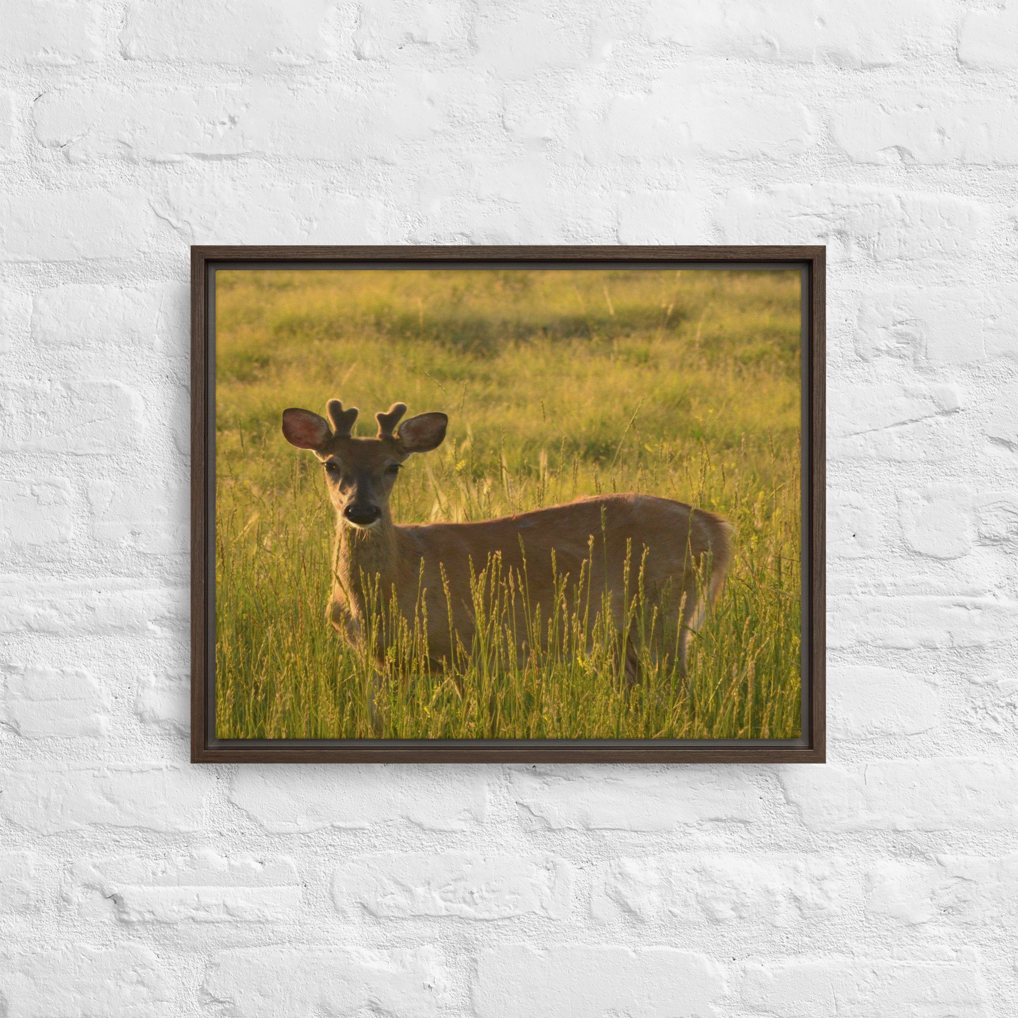 framed-canvas-(in)-brown-16x20-front-65ee8437c2ca1.jpg