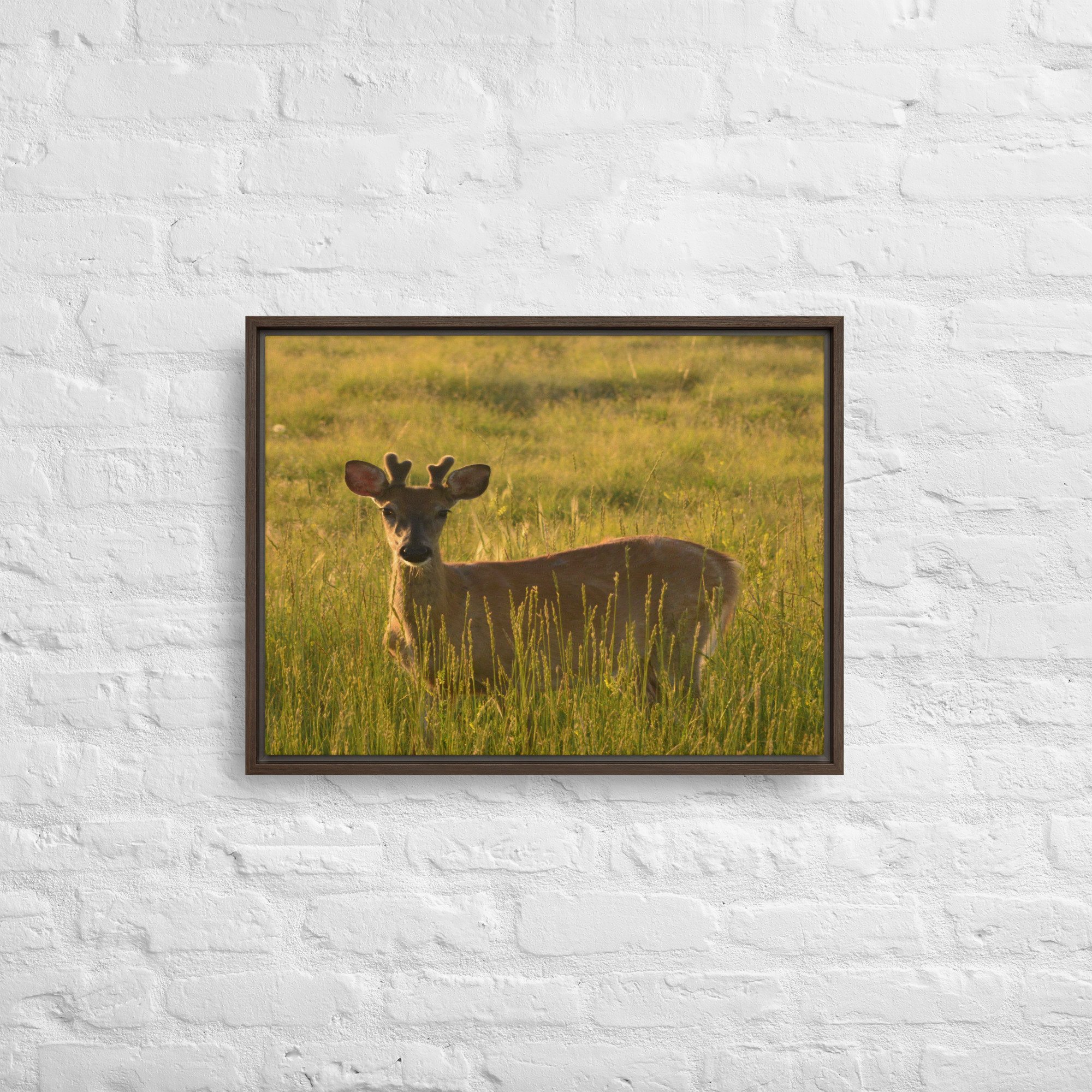 framed-canvas-(in)-brown-18x24-front-65ee8437c2ce3.jpg