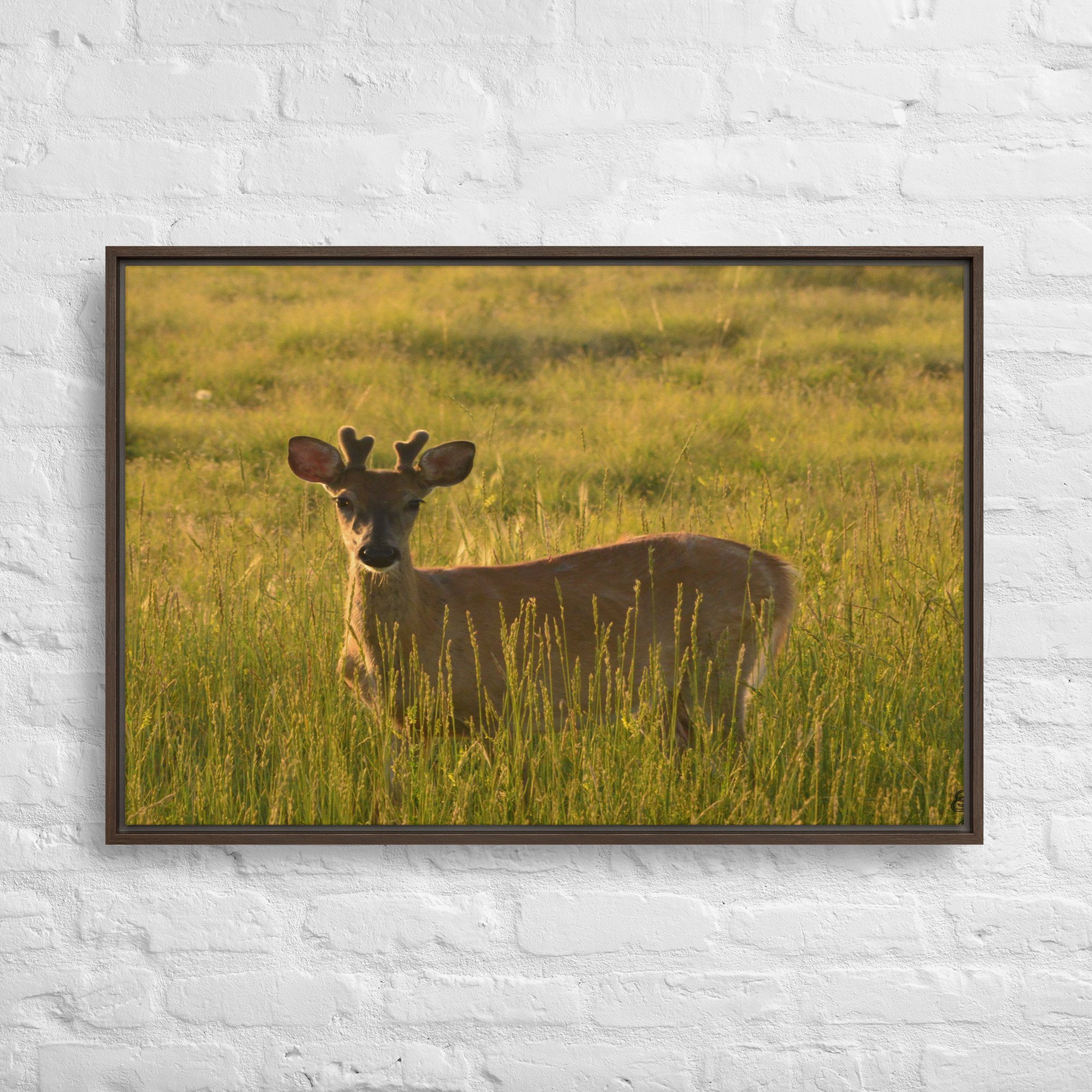 framed-canvas-(in)-brown-24x36-front-65ee8437c2d25.jpg