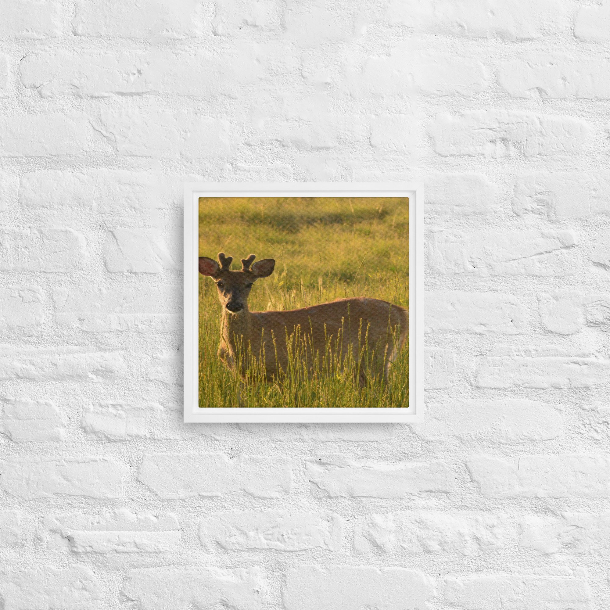 framed-canvas-(in)-white-12x12-front-65ee8437c2d65.jpg