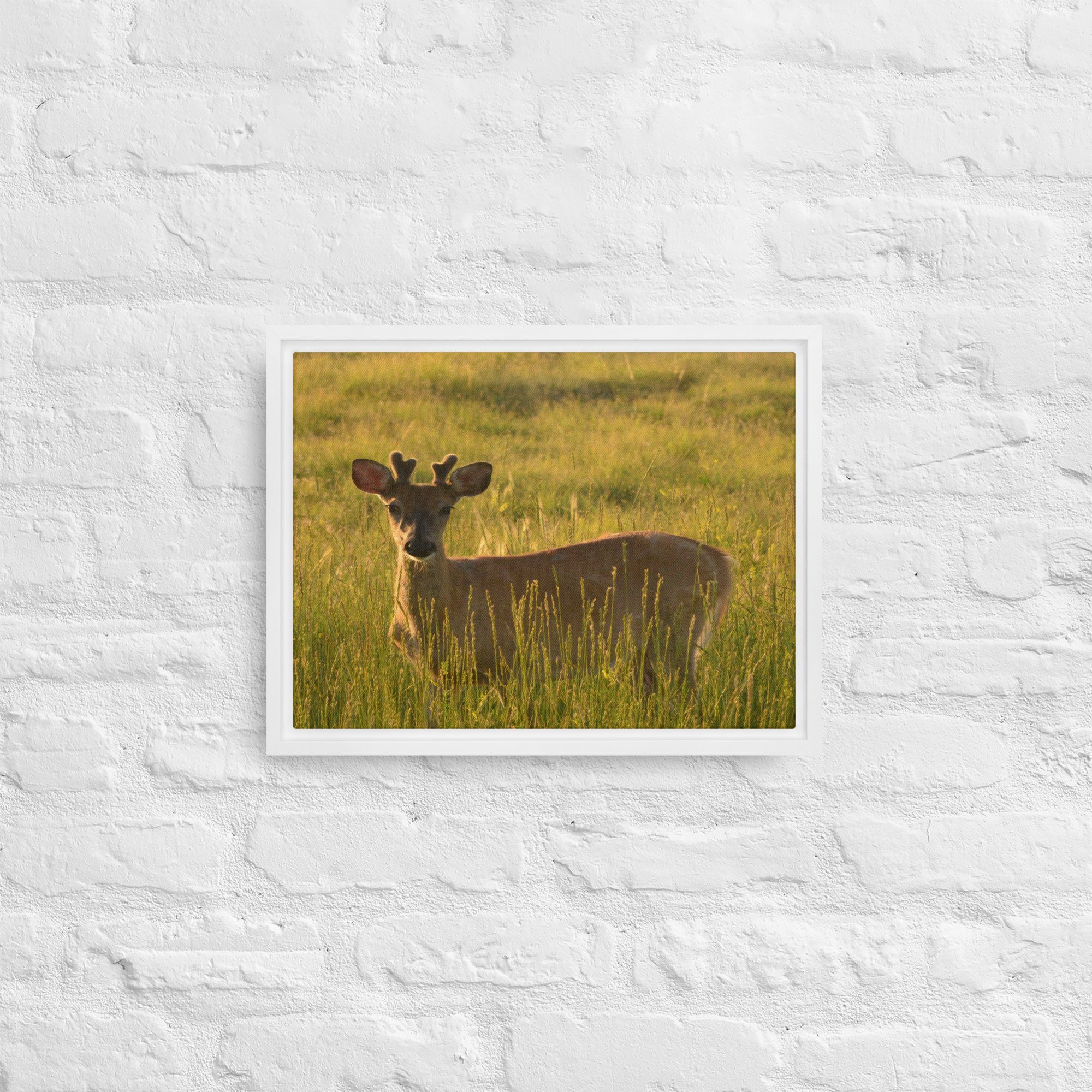 framed-canvas-(in)-white-12x16-front-65ee8437c2da5.jpg