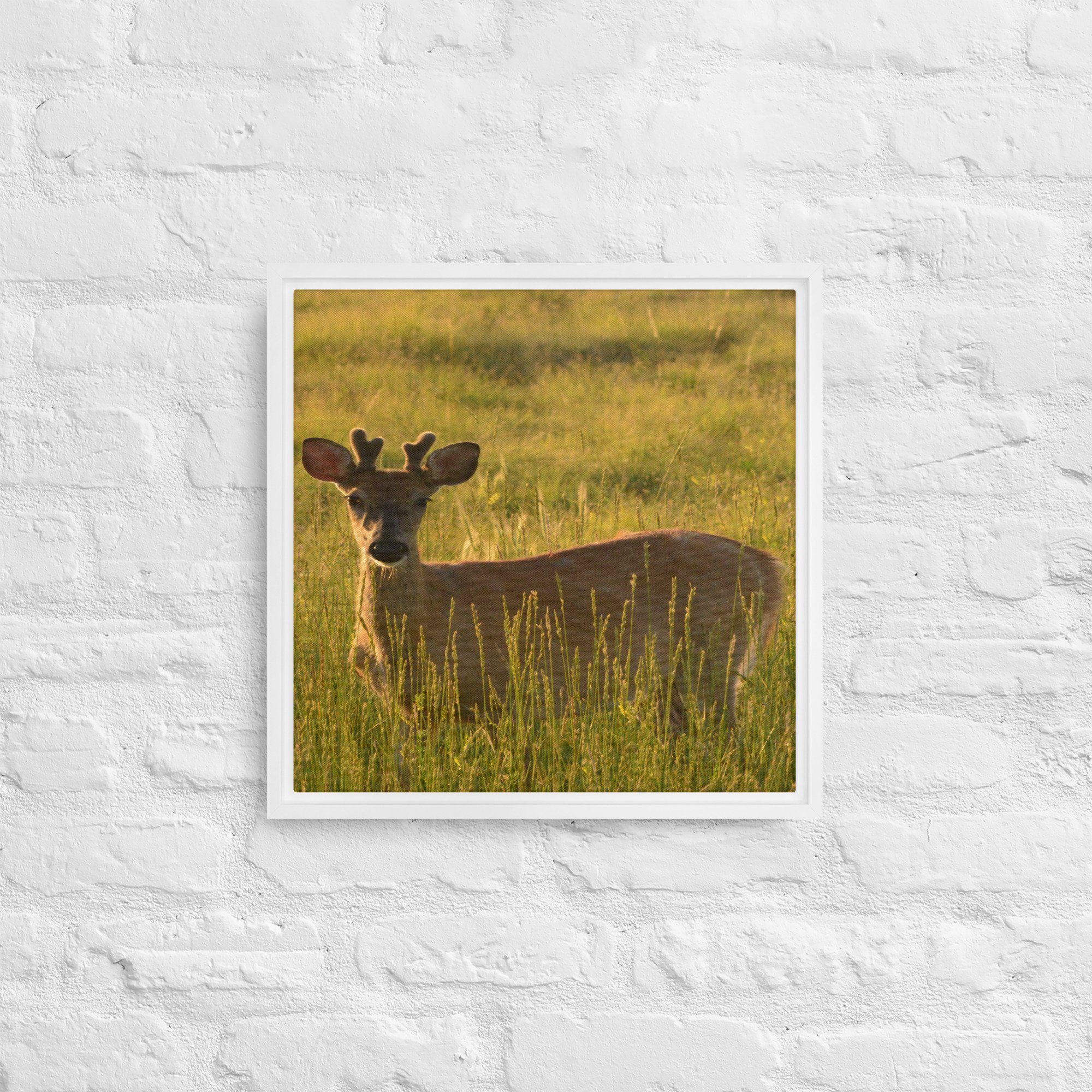 framed-canvas-(in)-white-16x16-front-65ee8437c2de5.jpg