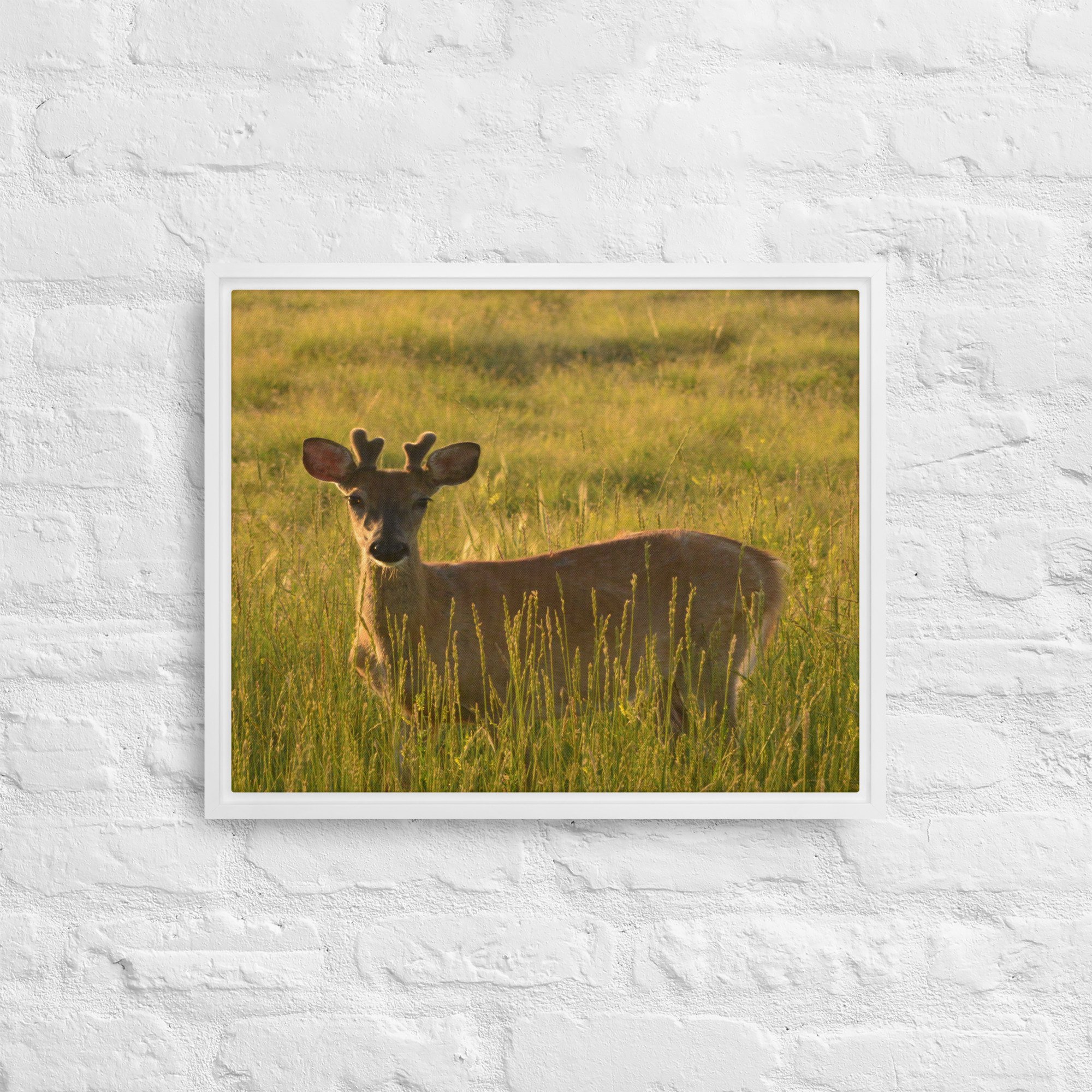 framed-canvas-(in)-white-16x20-front-65ee8437c2e24.jpg