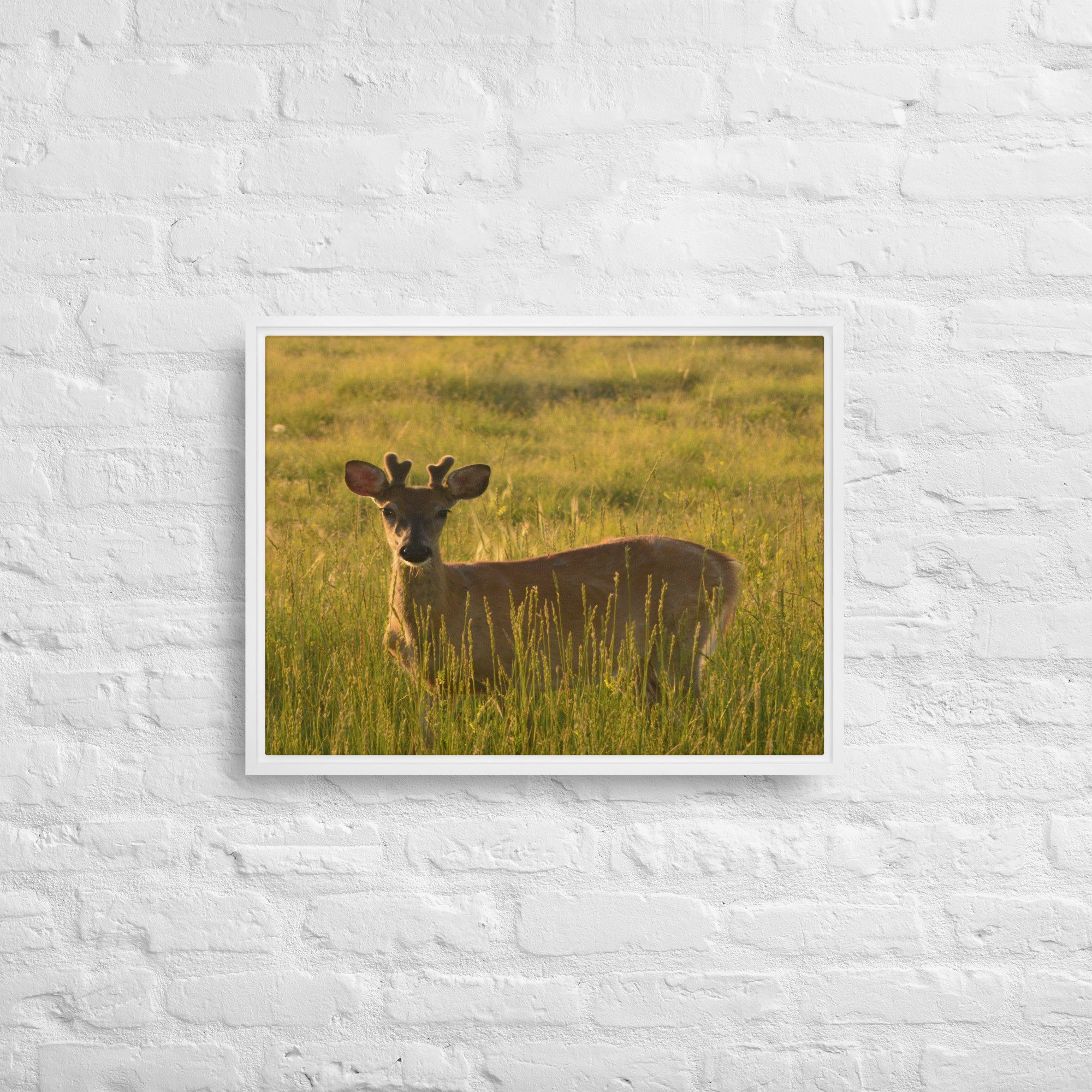 framed-canvas-(in)-white-18x24-front-65ee8437c2e64.jpg
