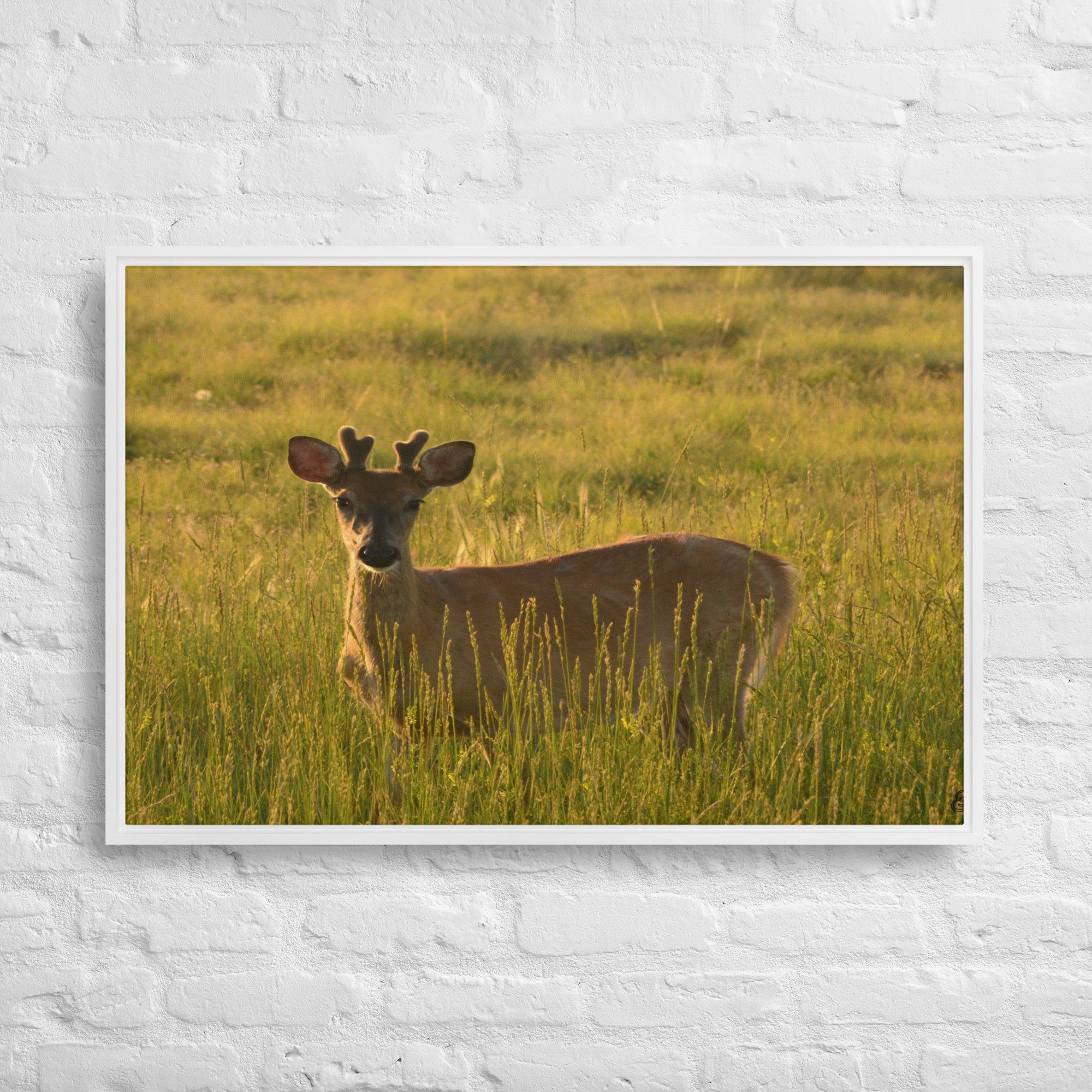 framed-canvas-(in)-white-24x36-front-65ee8437c2ea2.jpg