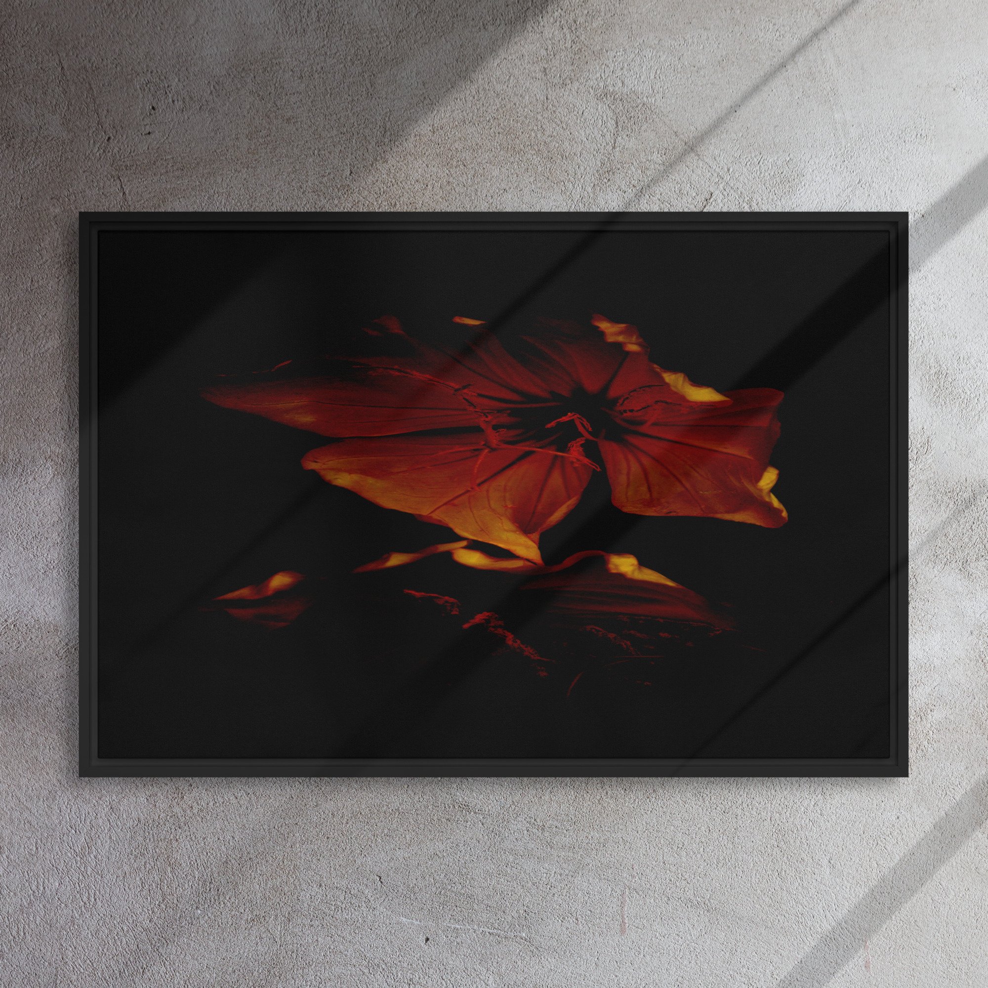 framed-canvas-(in)-black-24x36-front-65ee873899e79.jpg