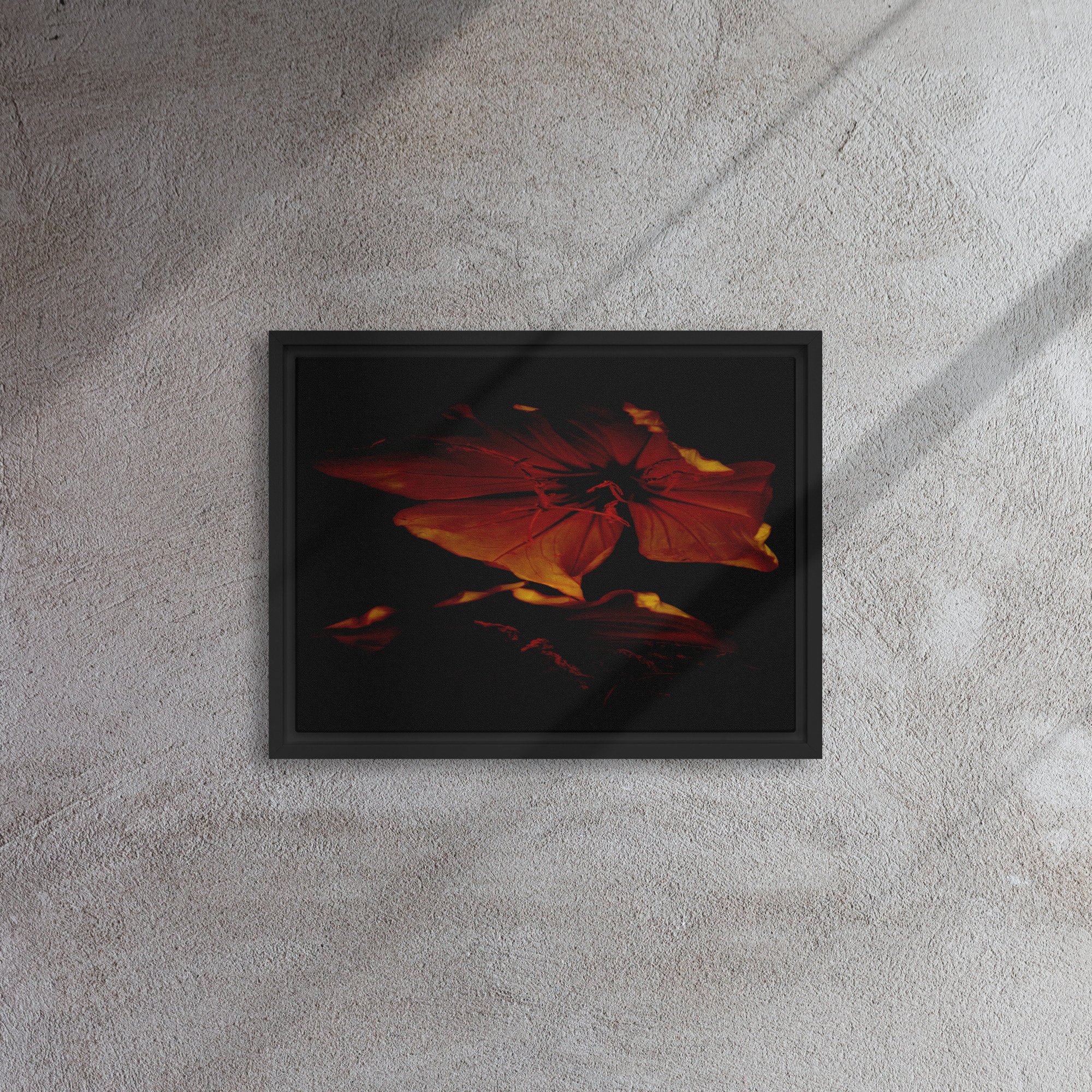 framed-canvas-(in)-black-12x16-front-65ee87389aa8e.jpg