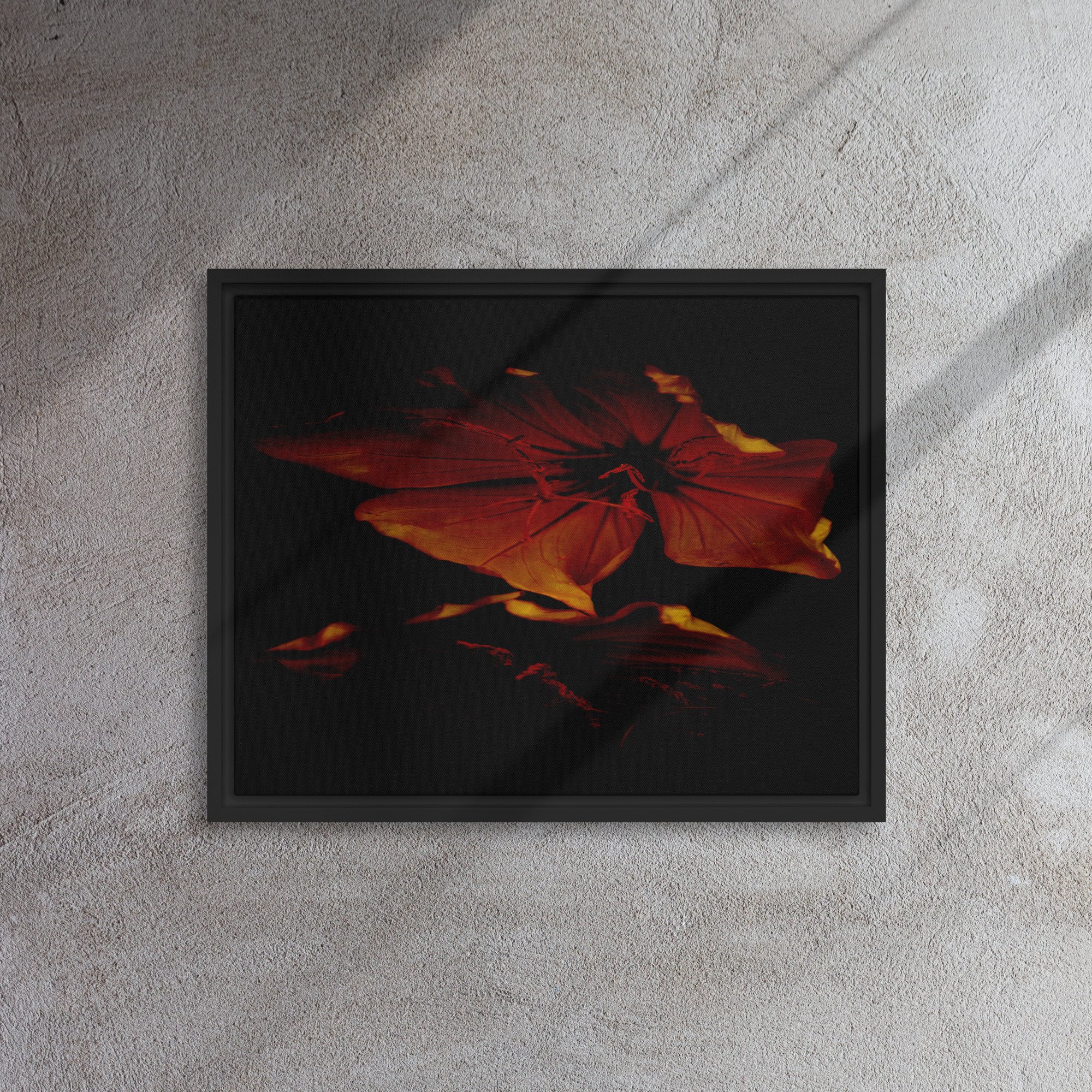framed-canvas-(in)-black-16x20-front-65ee87389ab4d.jpg