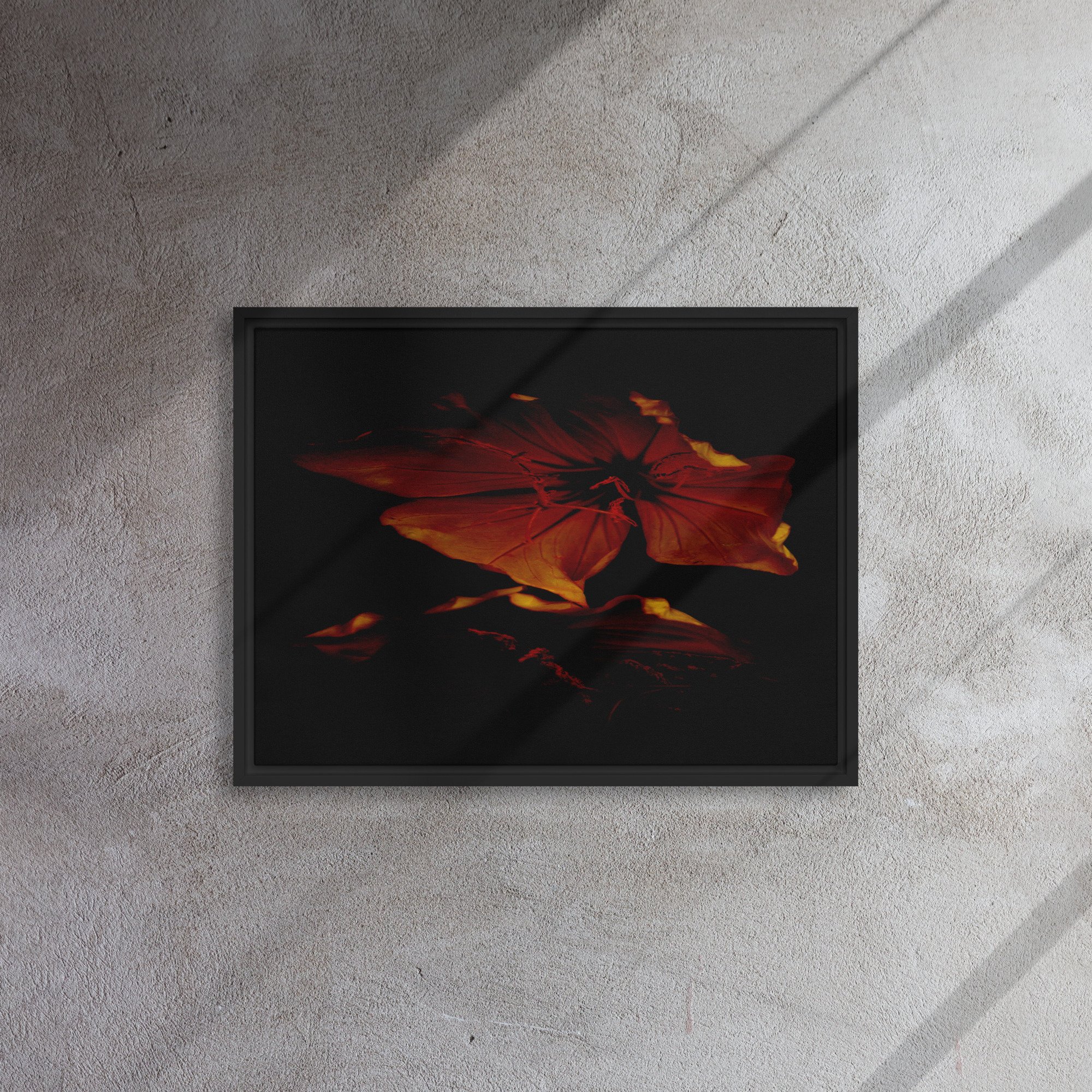 framed-canvas-(in)-black-18x24-front-65ee87389abf7.jpg