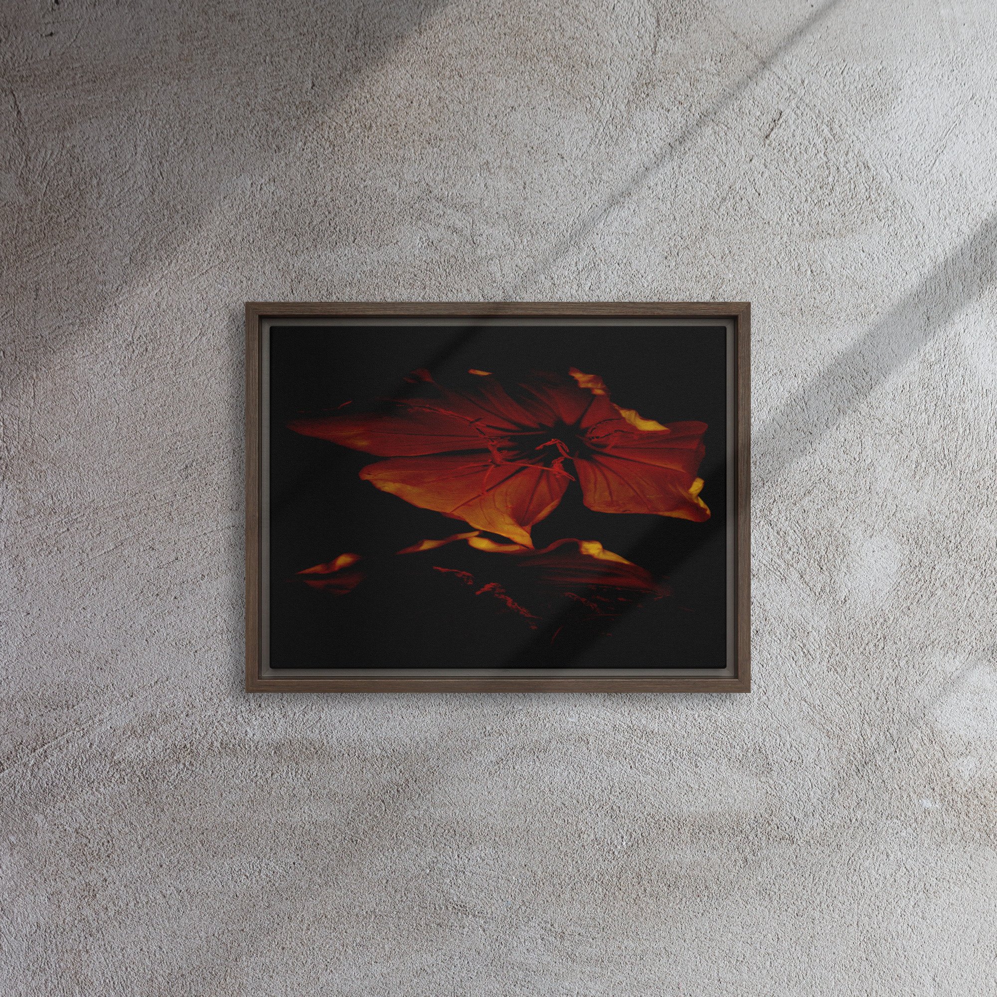framed-canvas-(in)-brown-12x16-front-65ee87389aca5.jpg