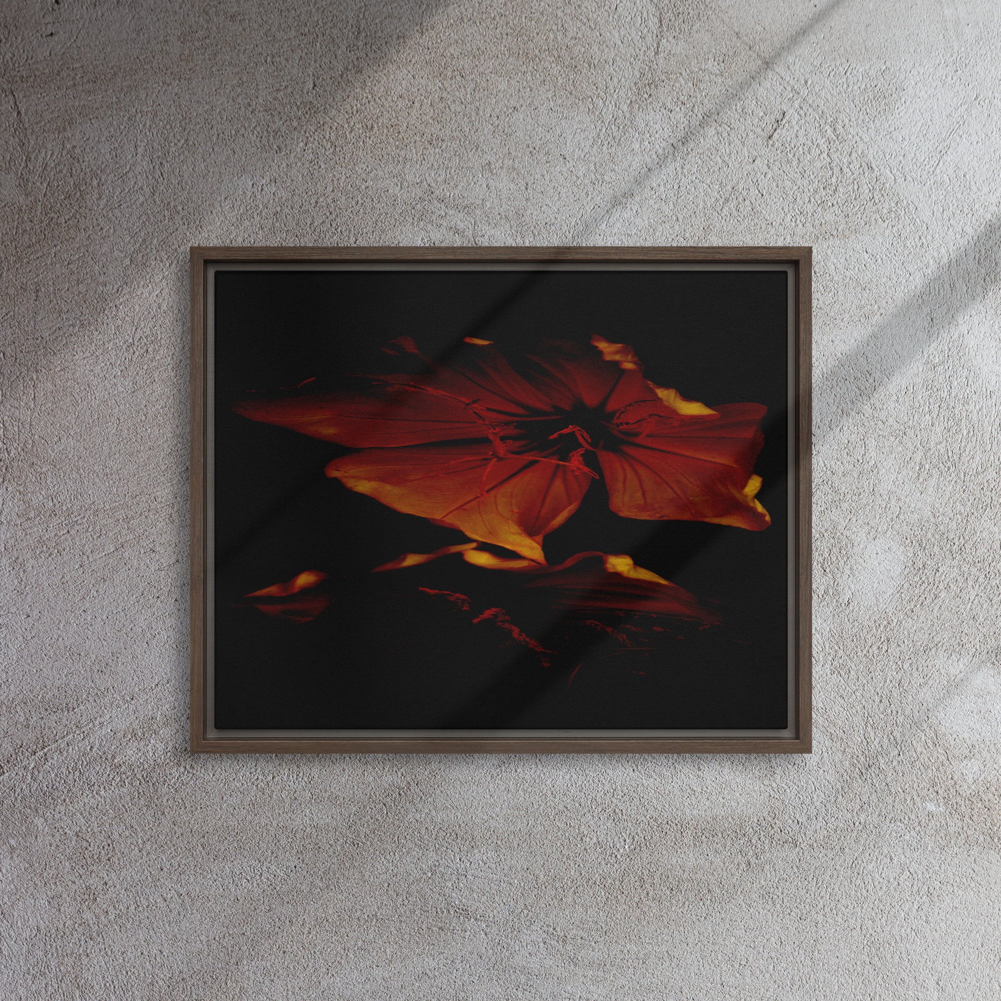 framed-canvas-(in)-brown-16x20-front-65ee87389ad1f.jpg