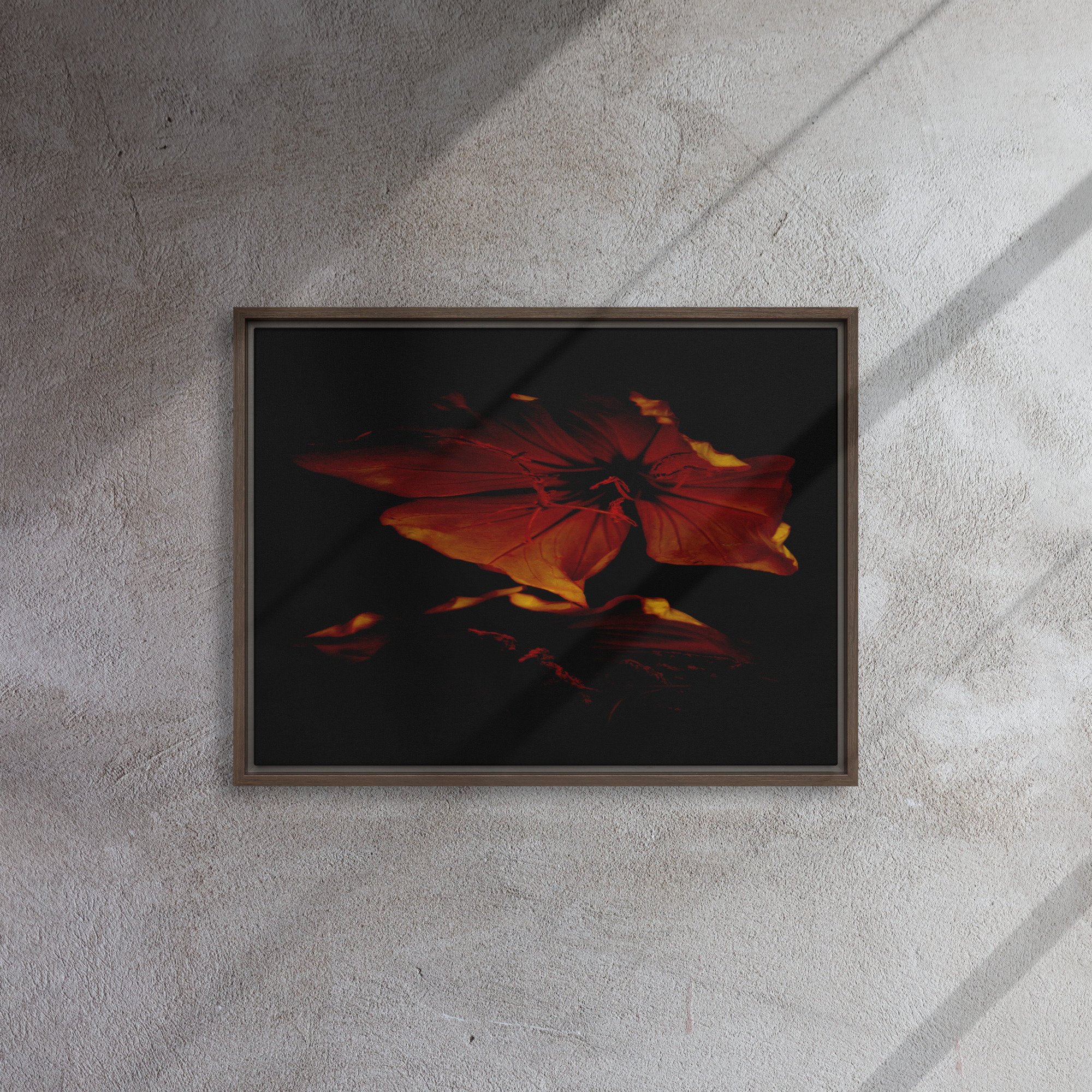 framed-canvas-(in)-brown-18x24-front-65ee87389ad92.jpg