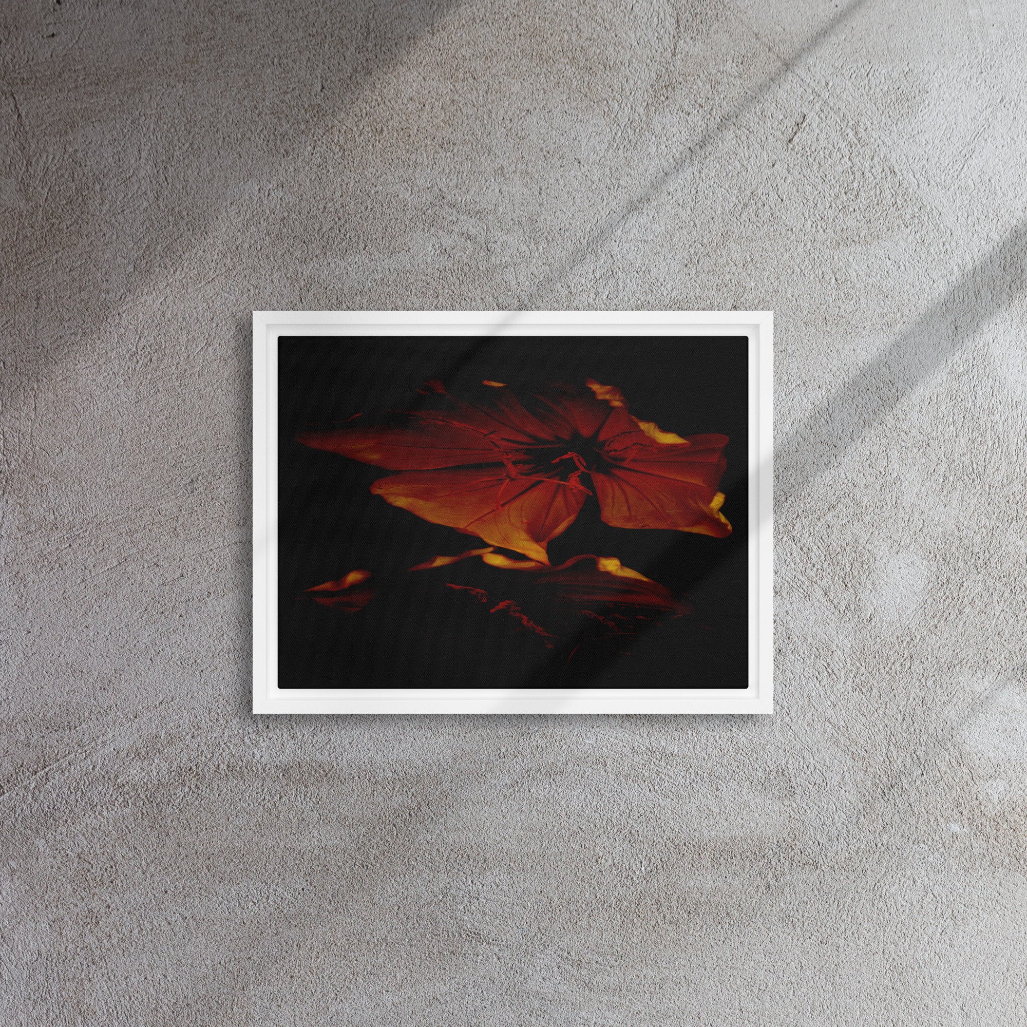 framed-canvas-(in)-white-12x16-front-65ee87389aea7.jpg