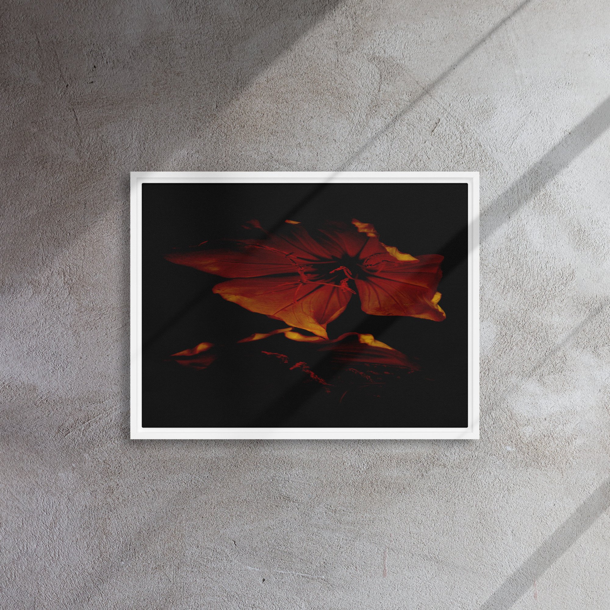 framed-canvas-(in)-white-18x24-front-65ee87389afad.jpg