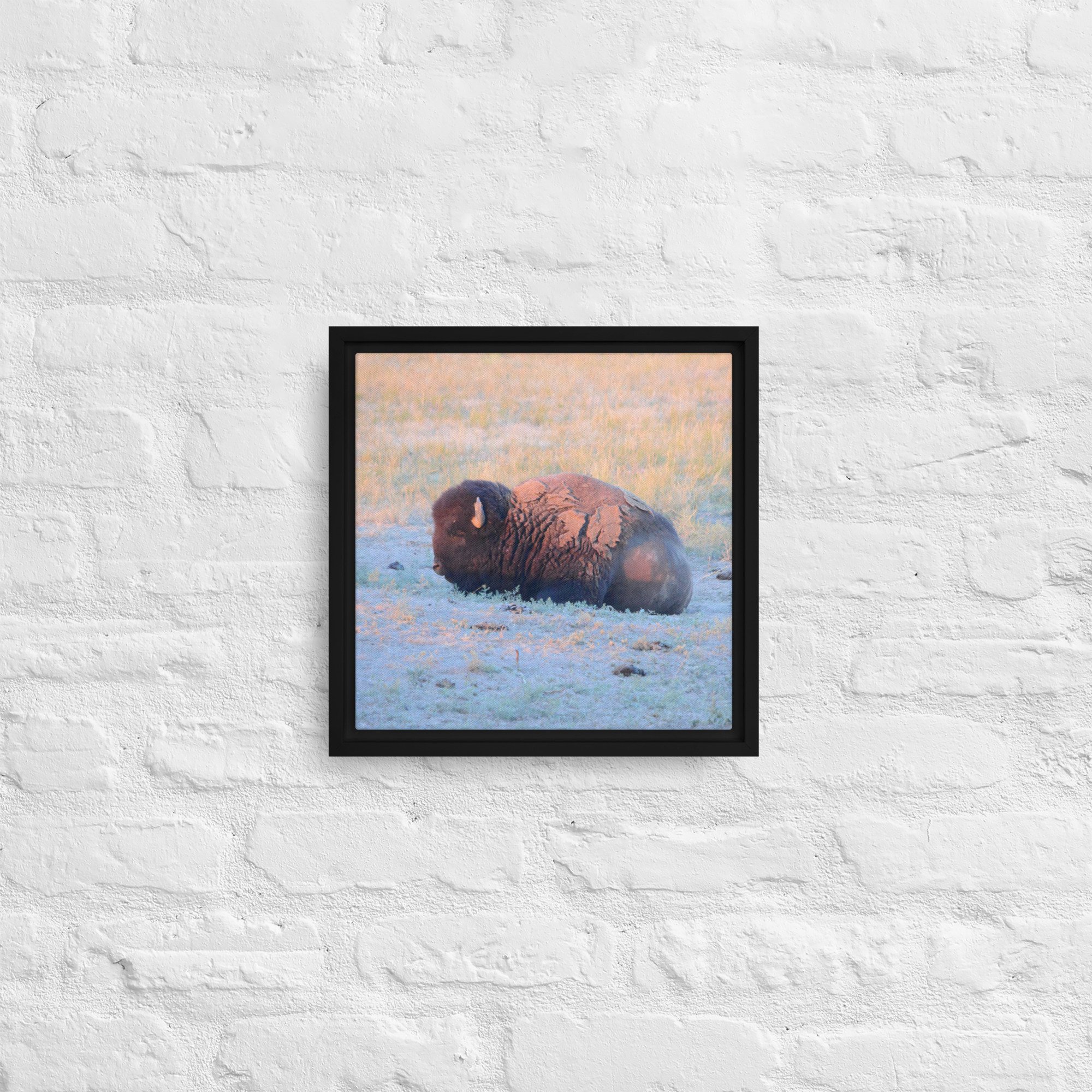 framed-canvas-(in)-black-12x12-front-65ee89628e8be.jpg
