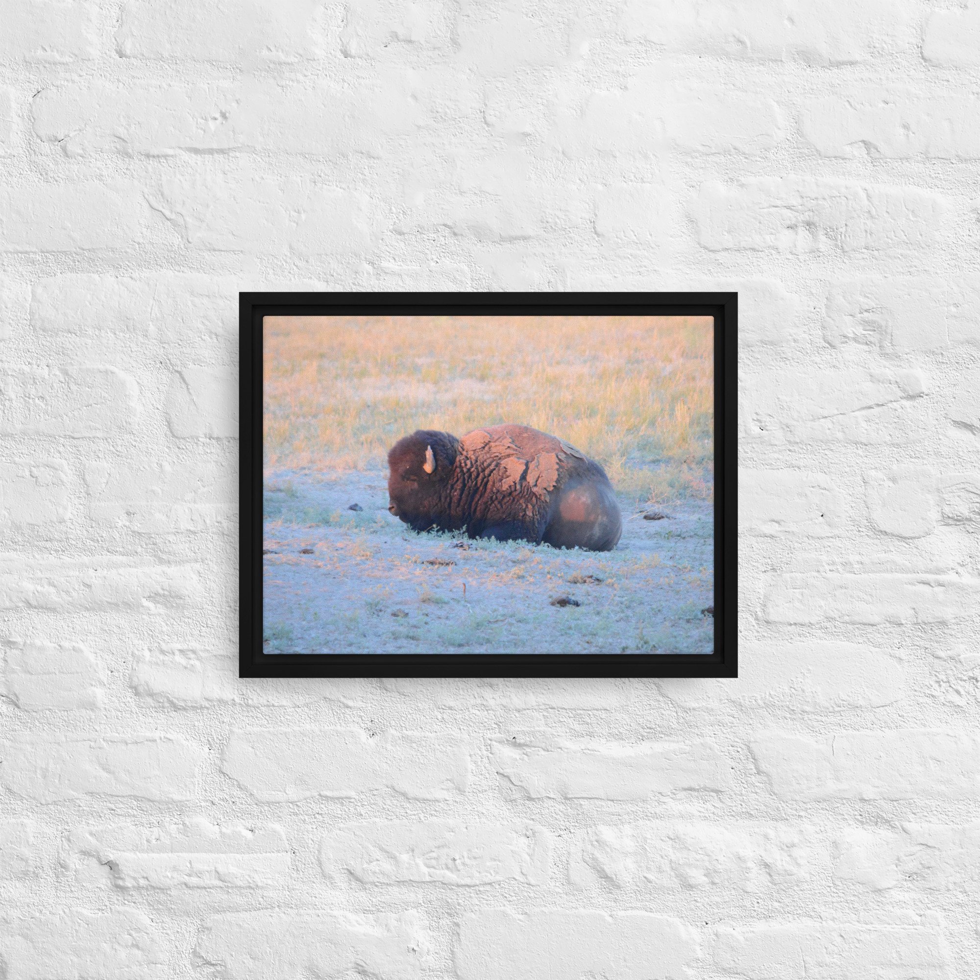 framed-canvas-(in)-black-12x16-front-65ee89628e97c.jpg